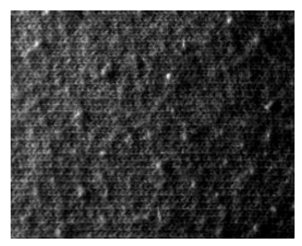 Fibers 06 00073 i036