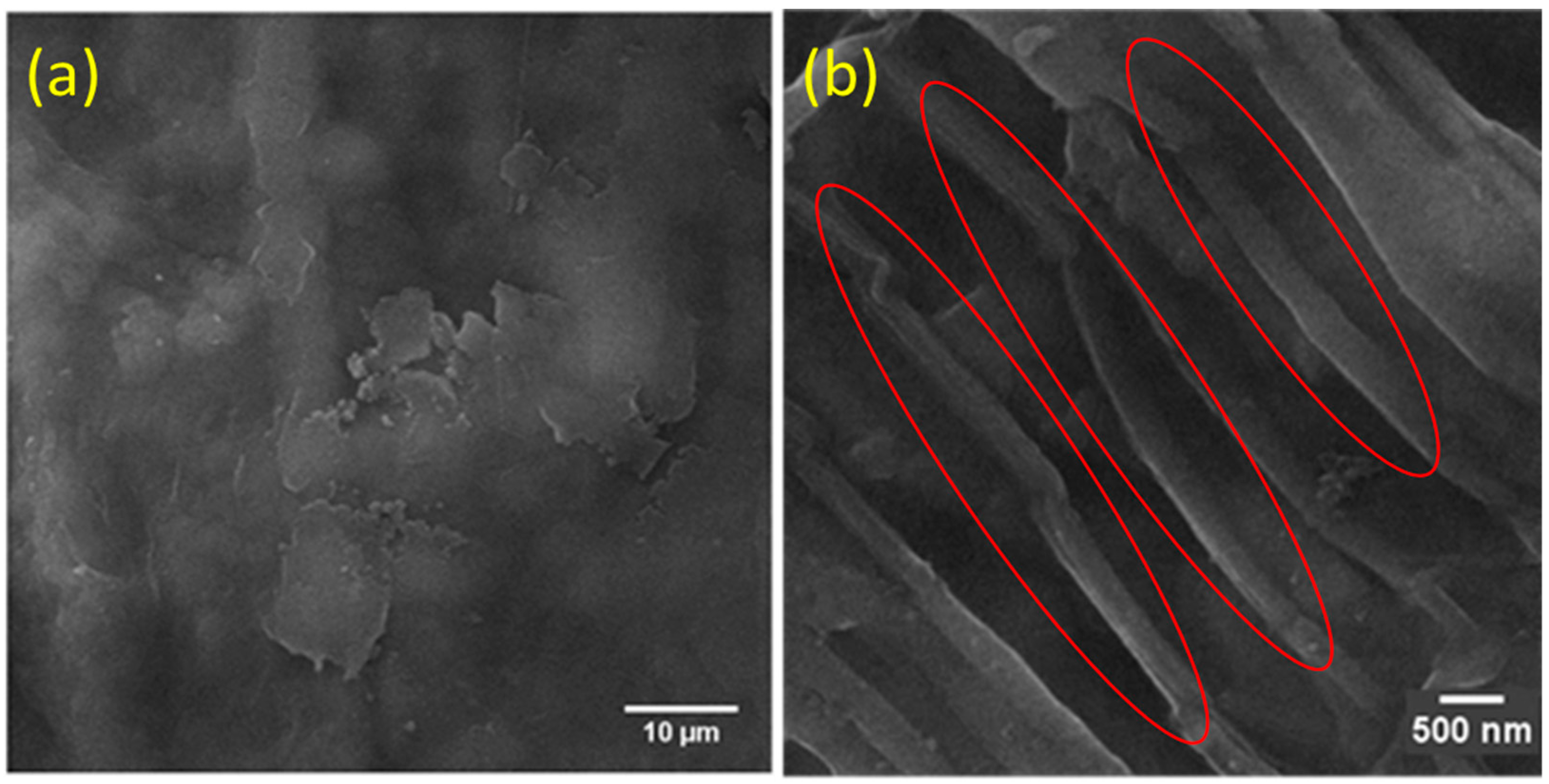 Fibers 06 00079 g002 Fibers 06 00079 g002