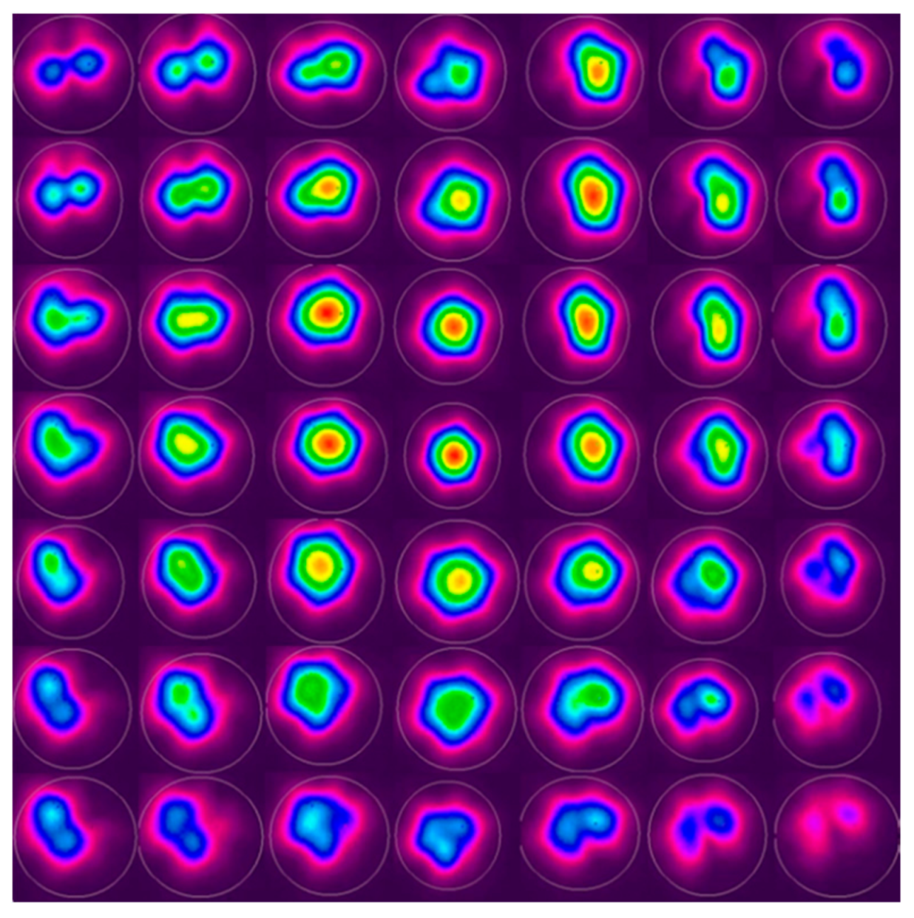 Fibers 06 00080 g003