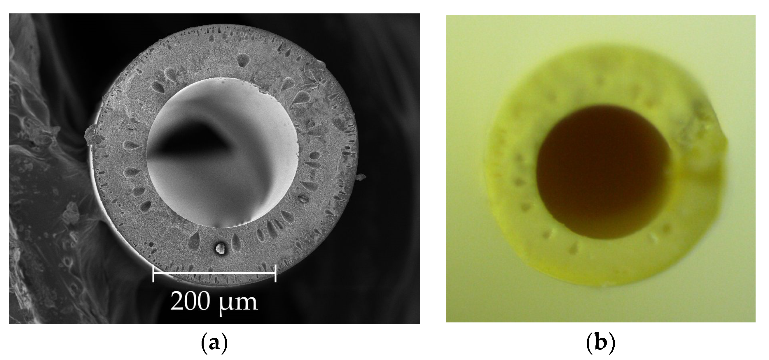 Fibers 06 00083 g003