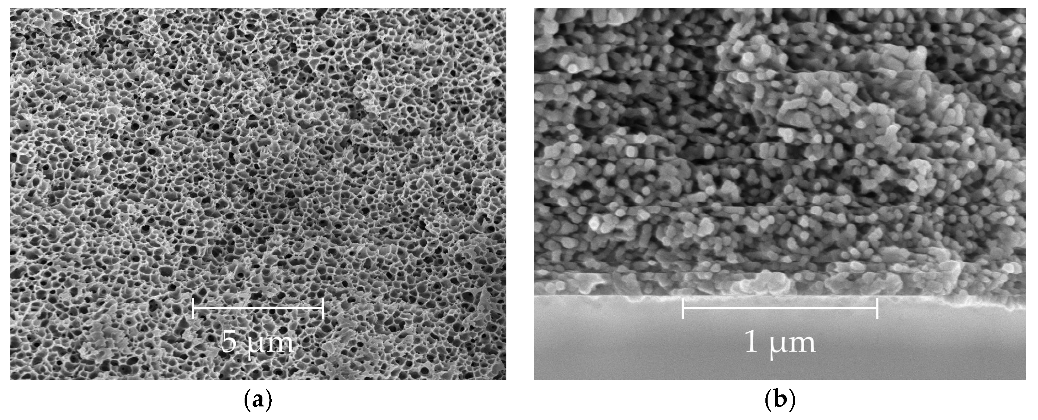 Fibers 06 00083 g005