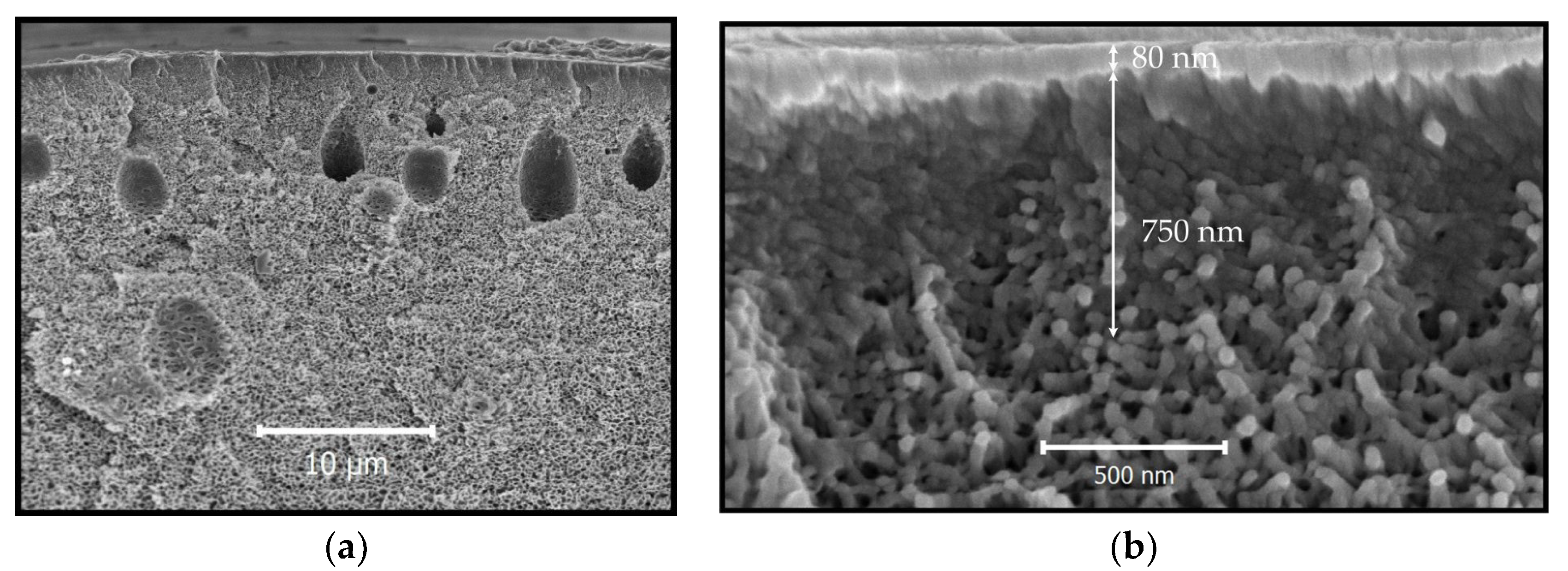 Fibers 06 00083 g007