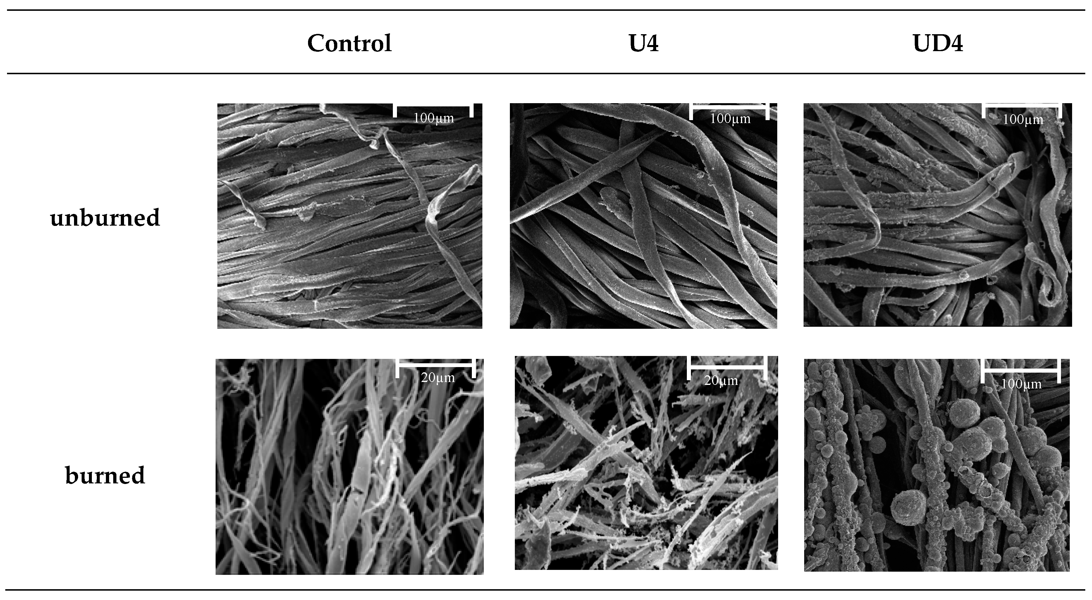 Fibers 06 00085 g005