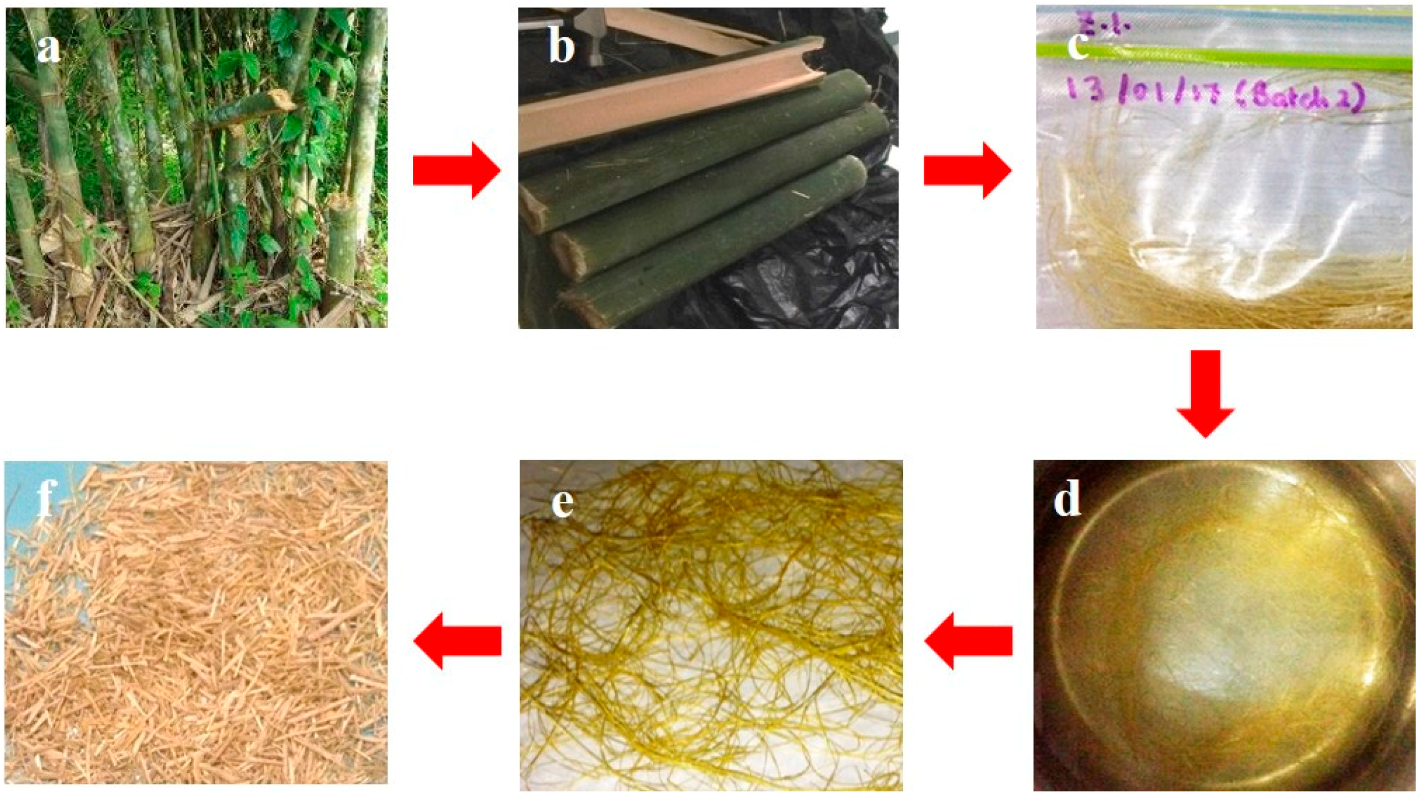 Fibers 06 00091 g001