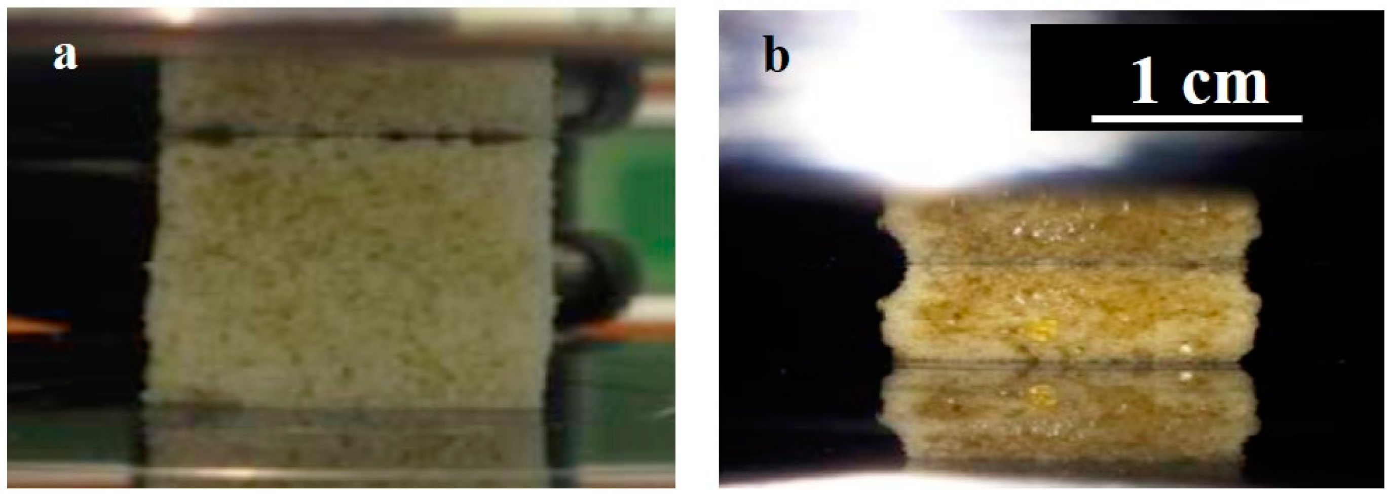 Fibers 06 00091 g003