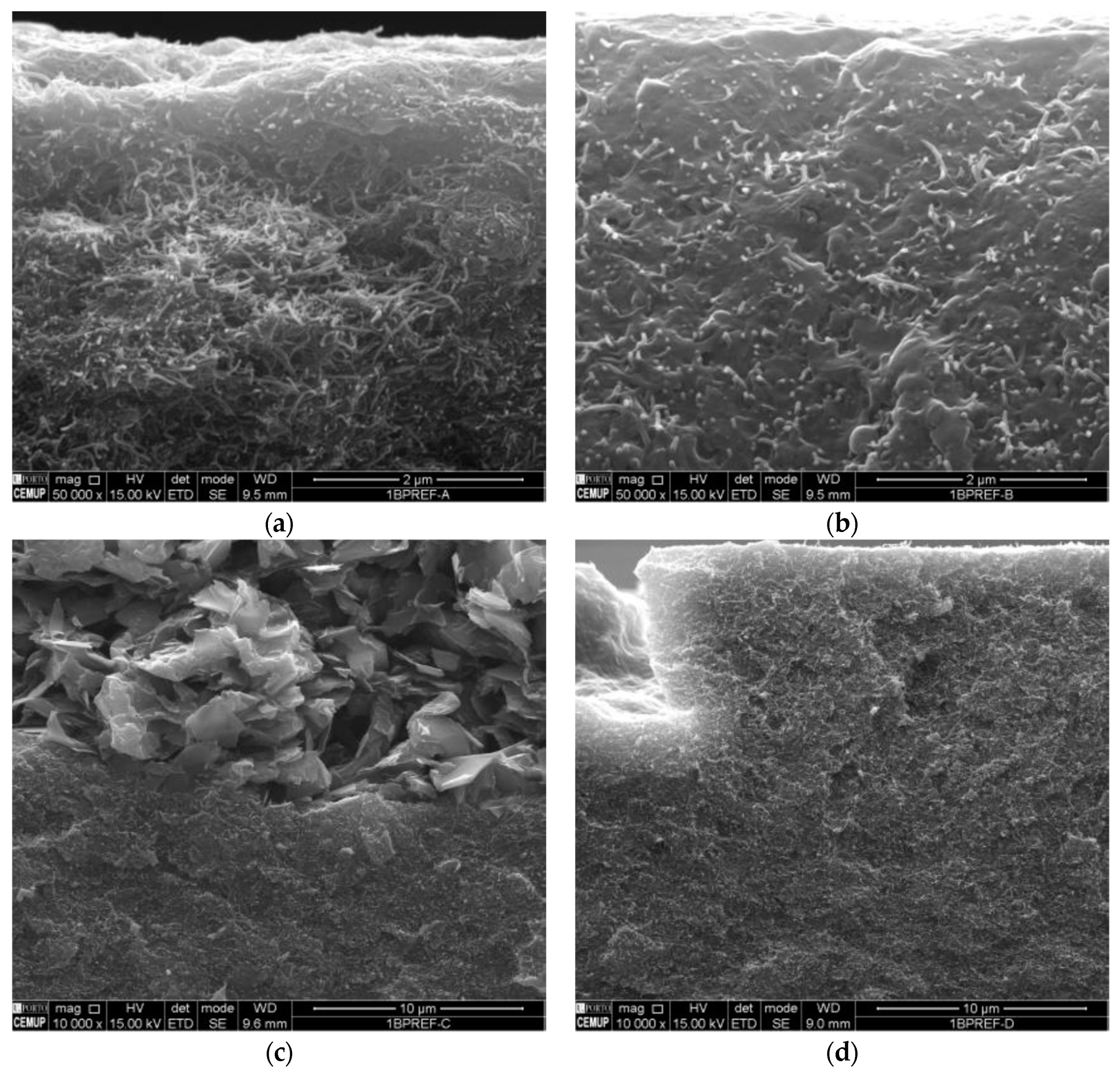 Fibers 06 00092 g009