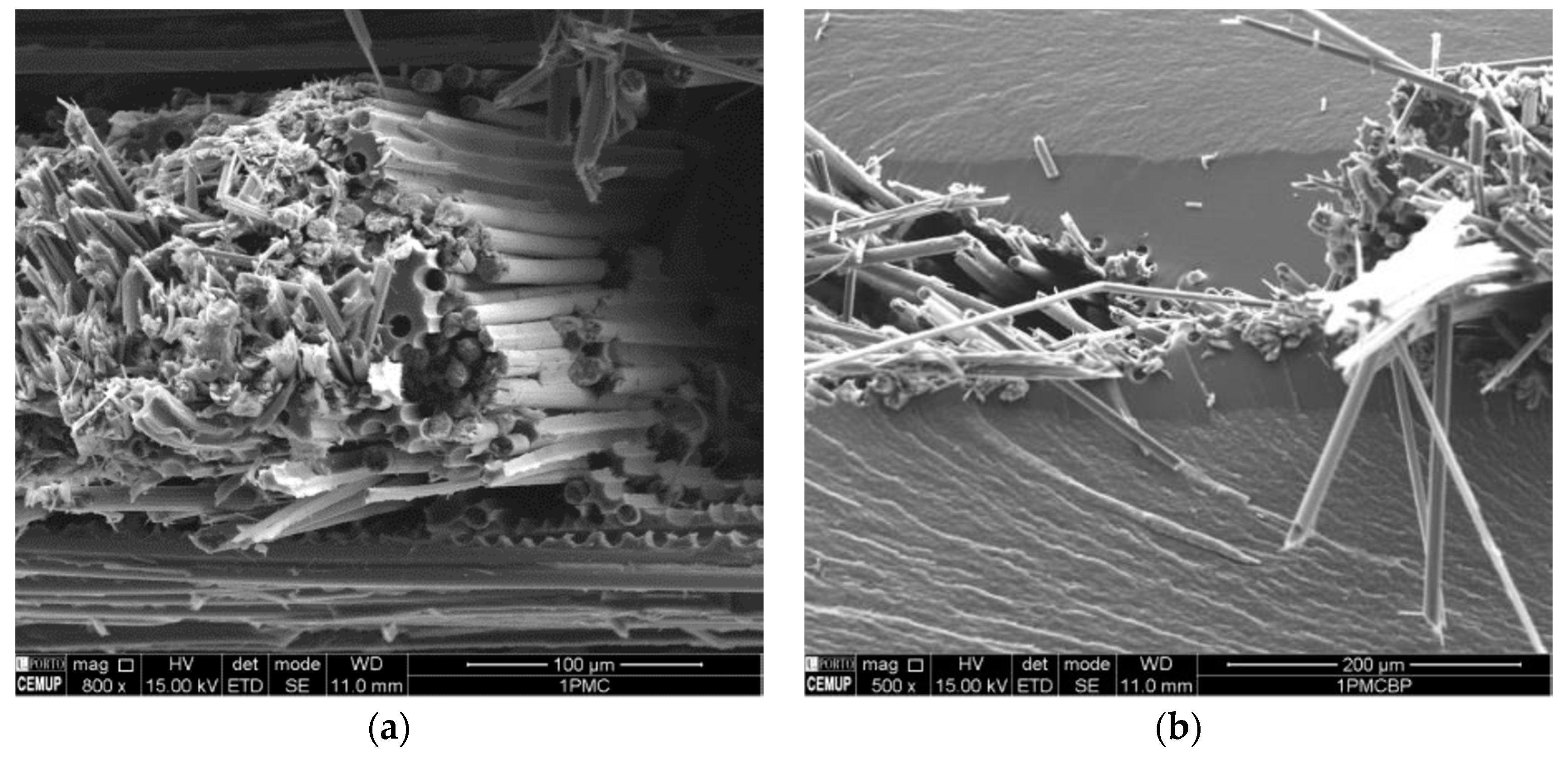 Fibers 06 00092 g010