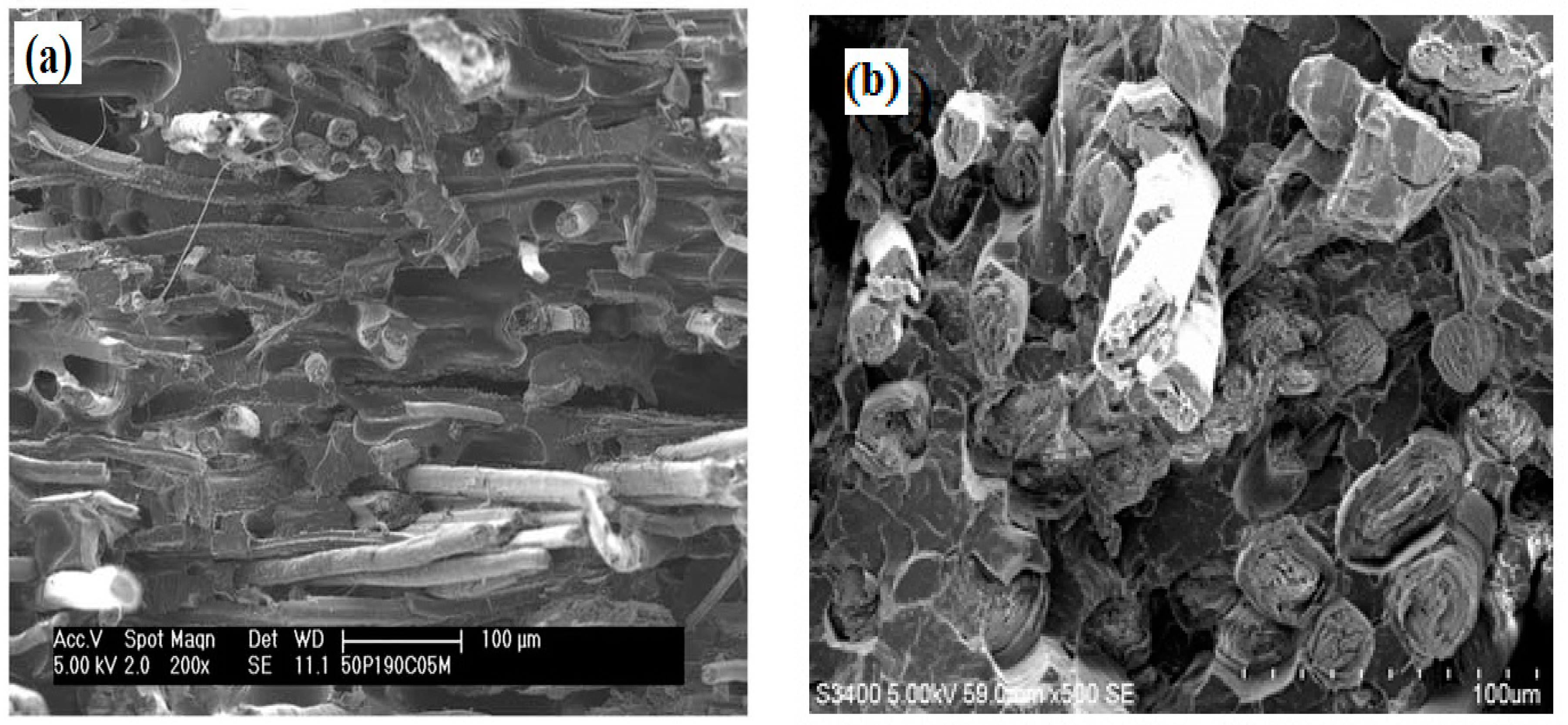 Fibers 06 00098 g004 Fibers 06 00098 g004