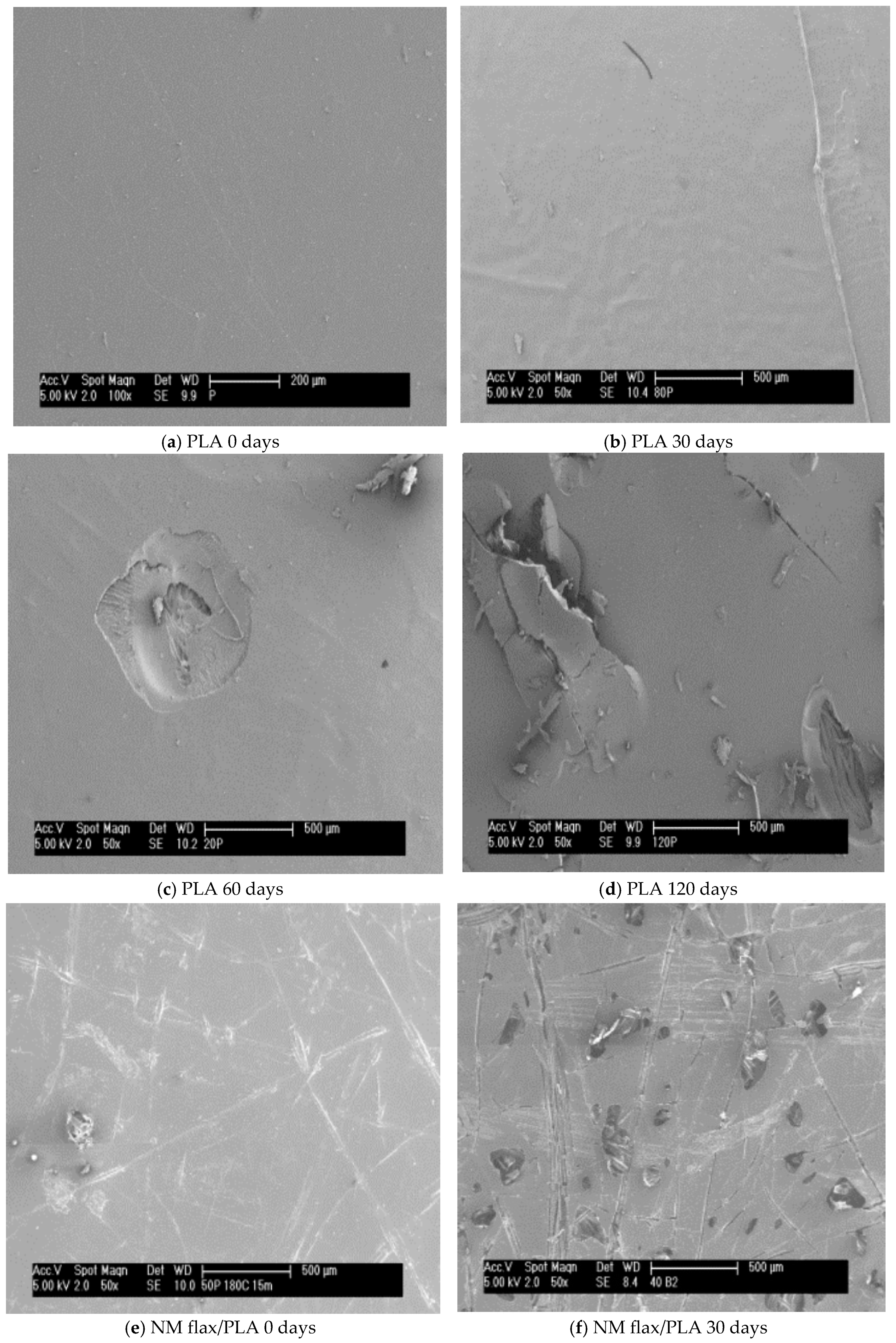 Fibers 06 00098 g011a Fibers 06 00098 g011a