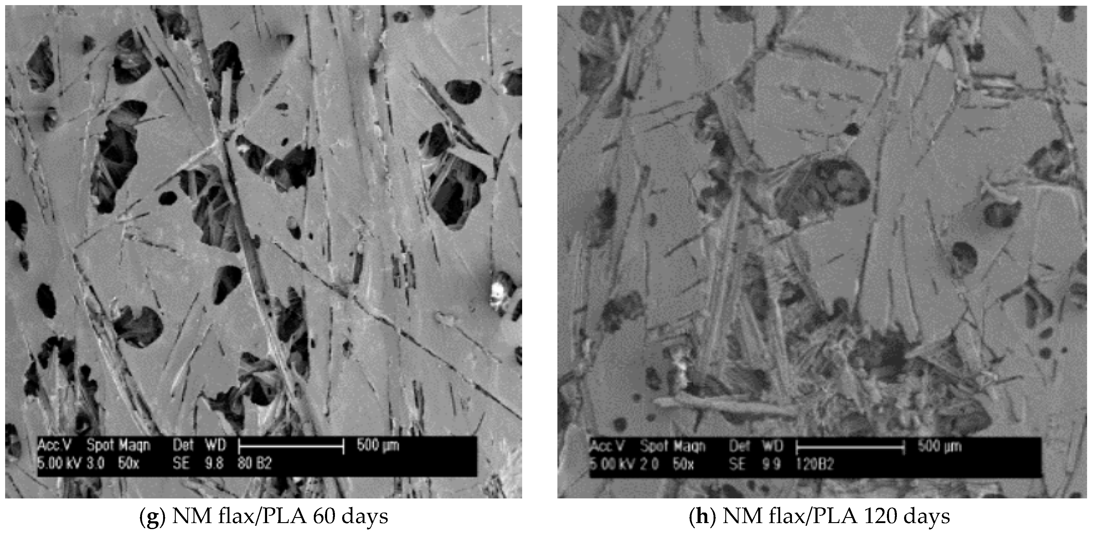 Fibers 06 00098 g011b Fibers 06 00098 g011b