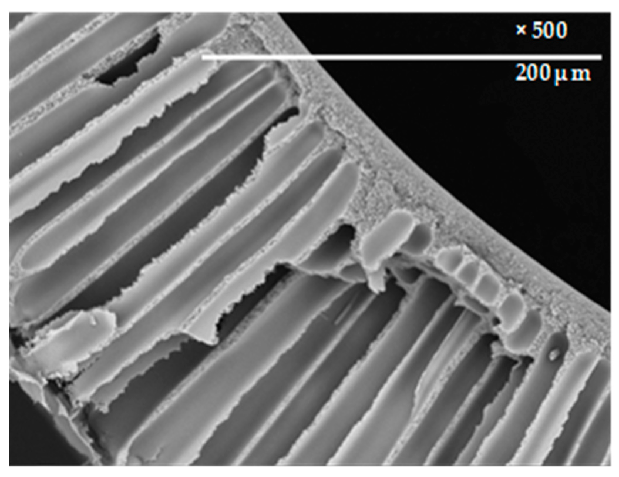 Fibers 07 00004 g002