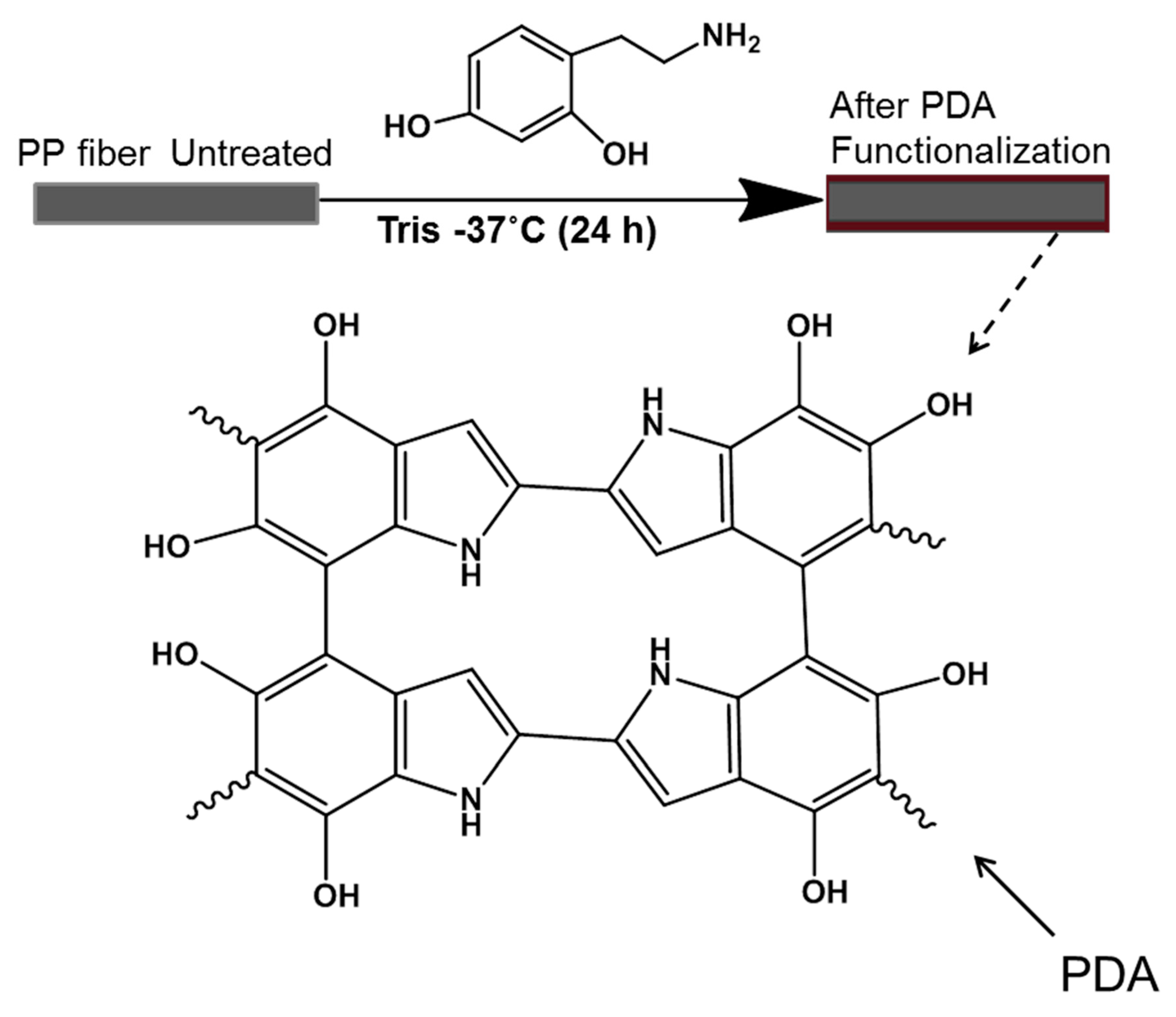 Fibers 07 00006 g001