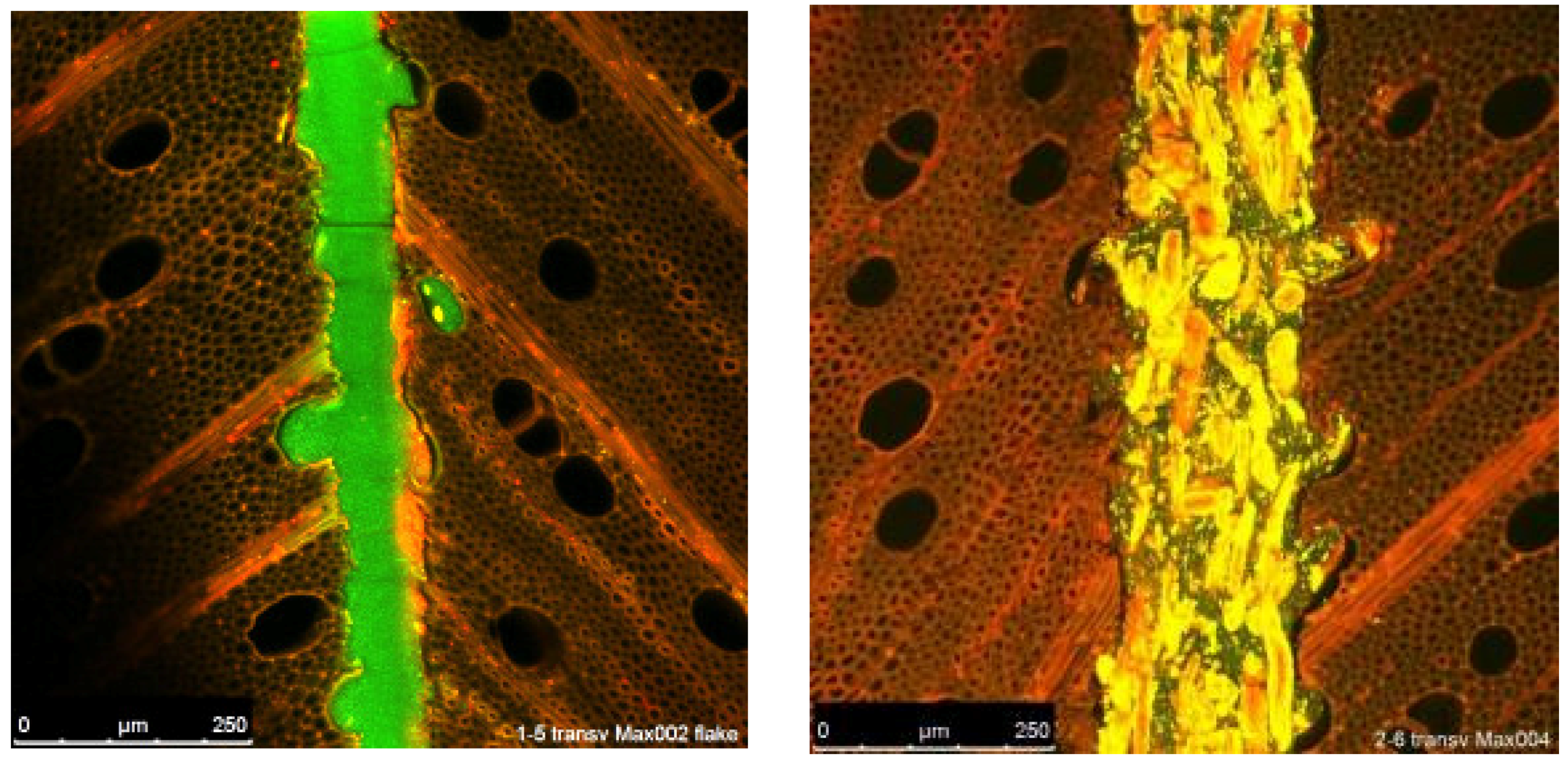 Fibers 07 00015 g001