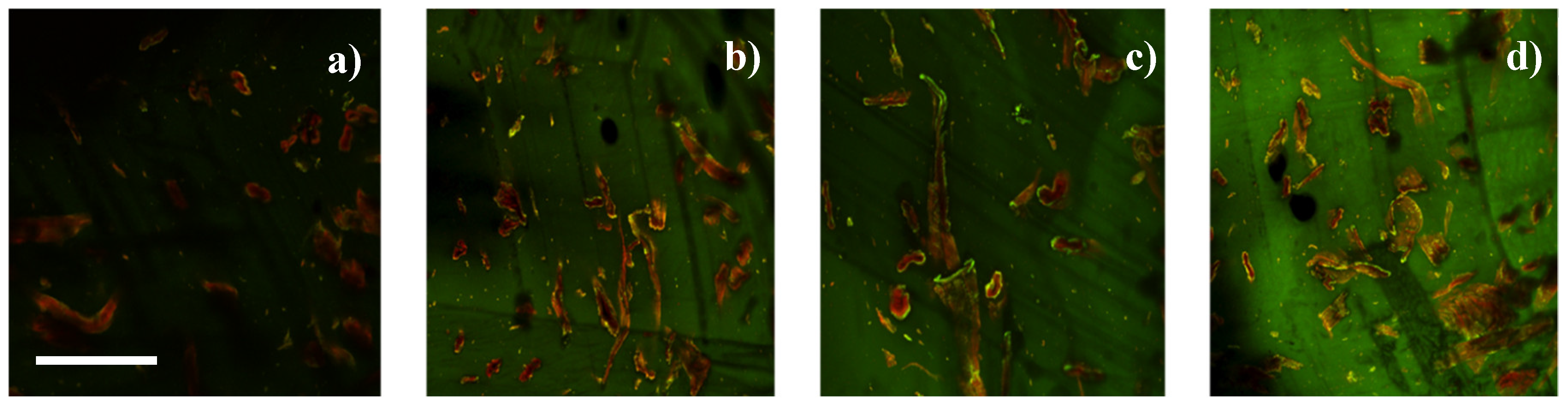 Fibers 07 00015 g002