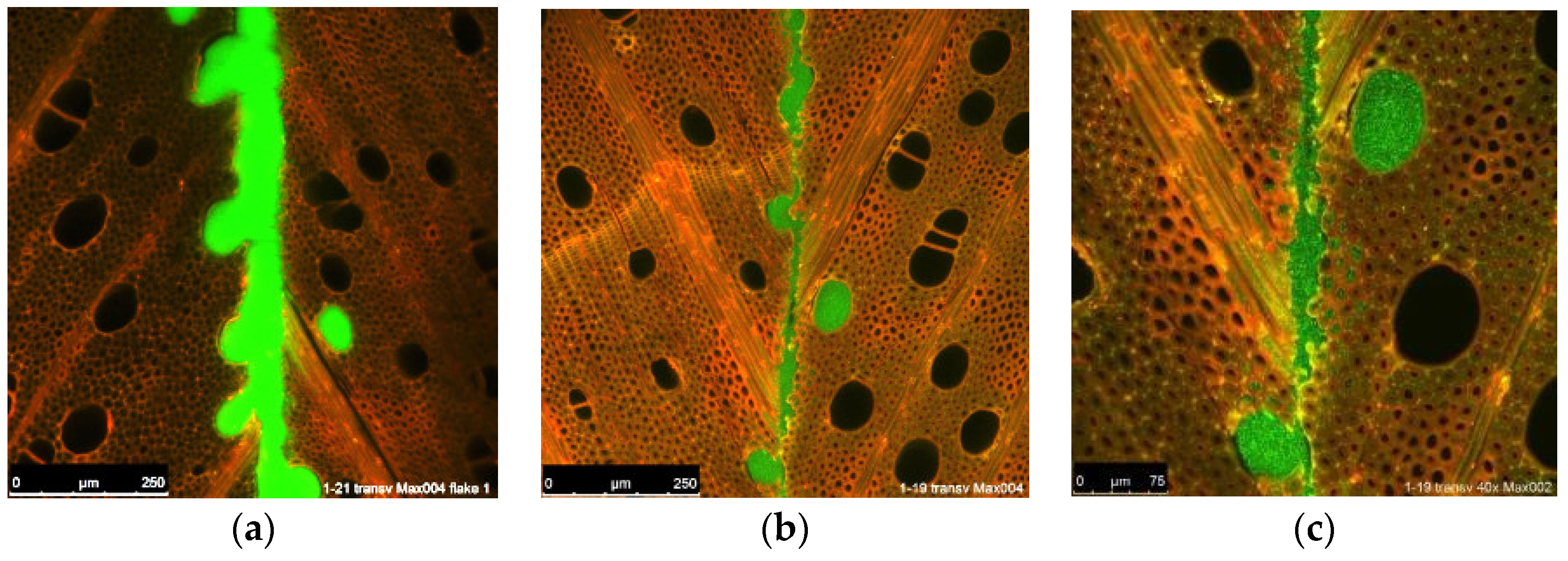 Fibers 07 00015 g004