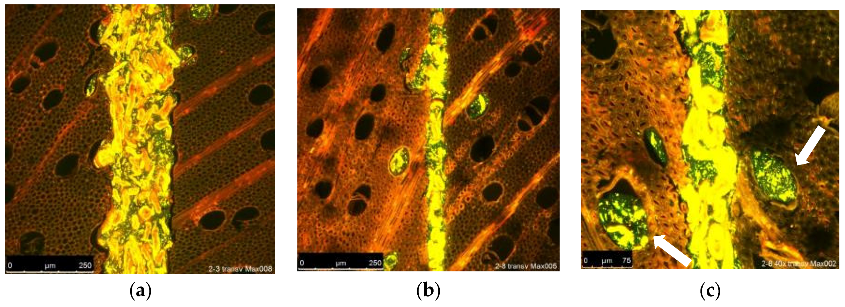Fibers 07 00015 g006