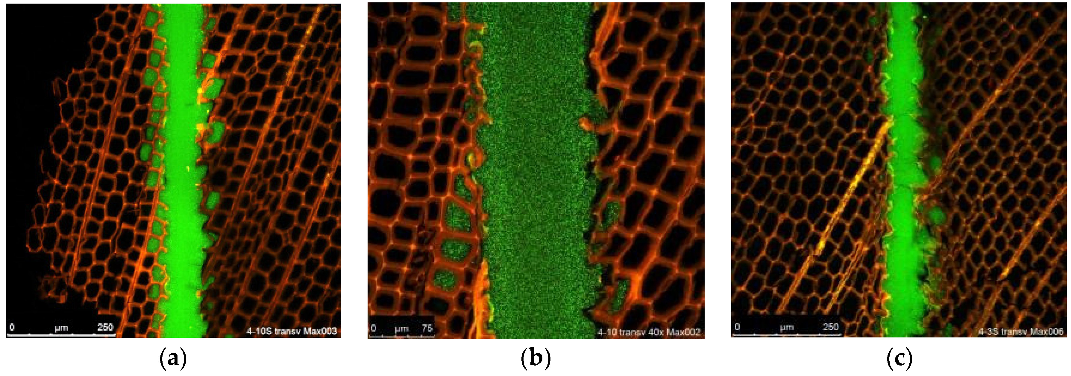 Fibers 07 00015 g007