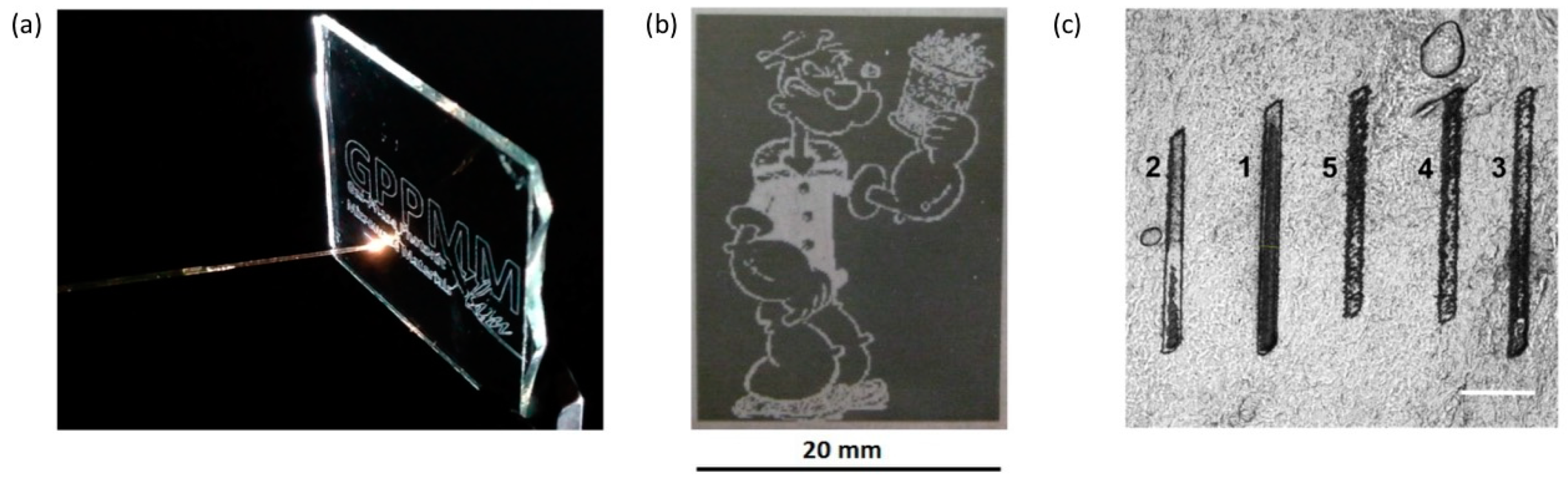 Fibers 07 00016 g025