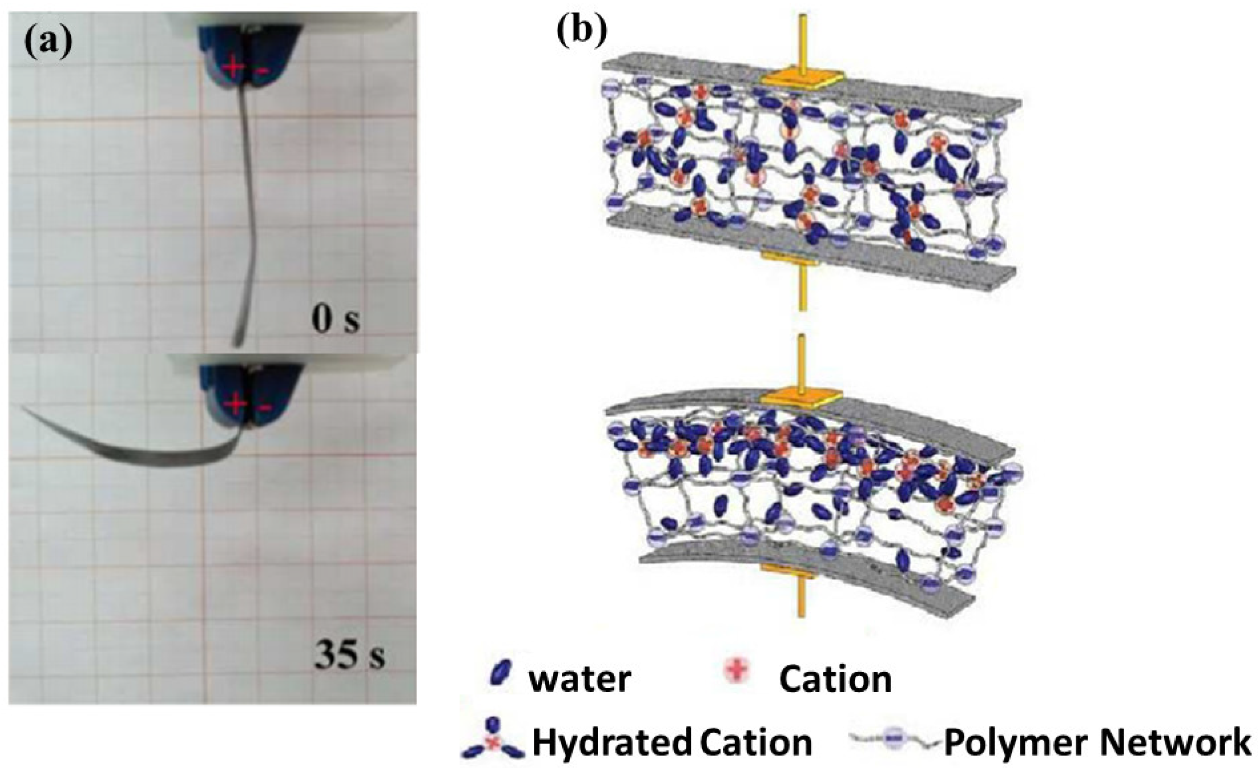 Fibers 07 00021 g002
