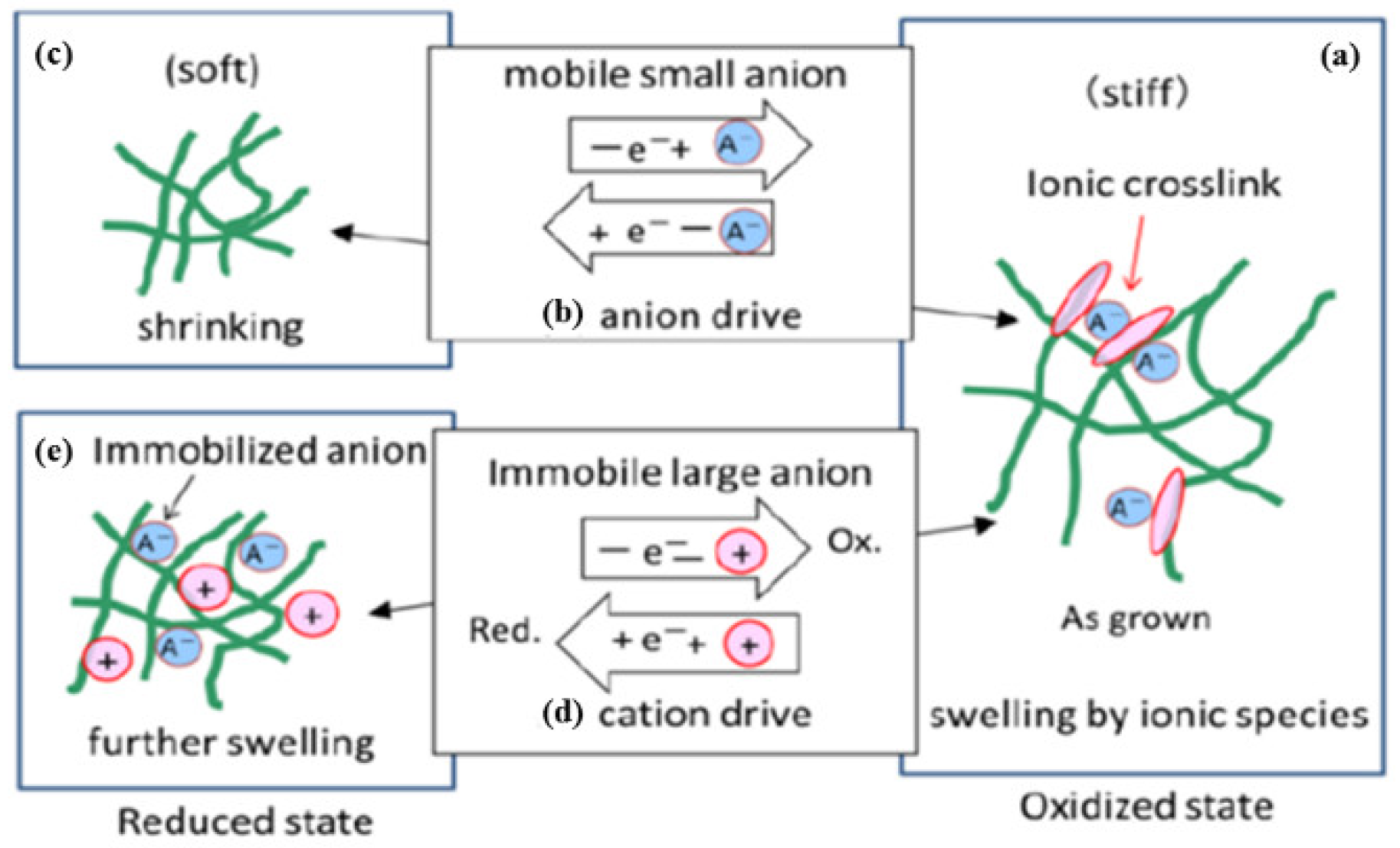Fibers 07 00021 g004