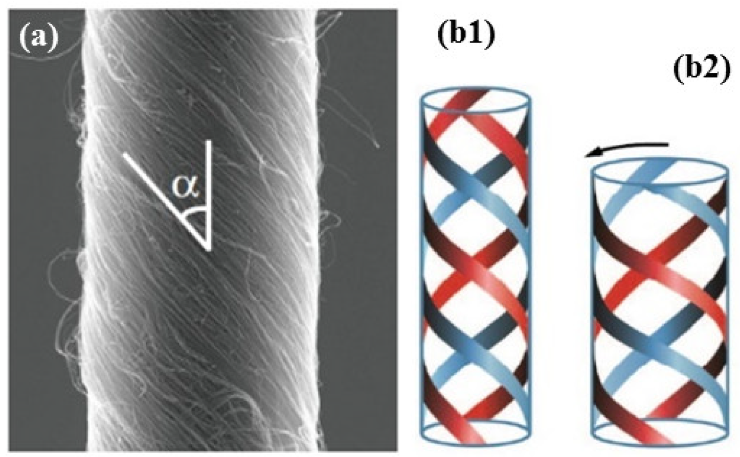 Fibers 07 00021 g008