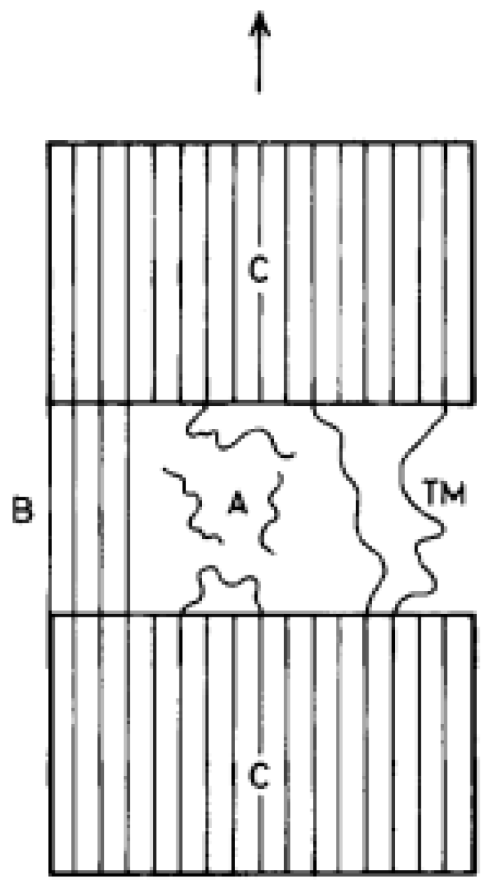 Fibers 07 00021 g015