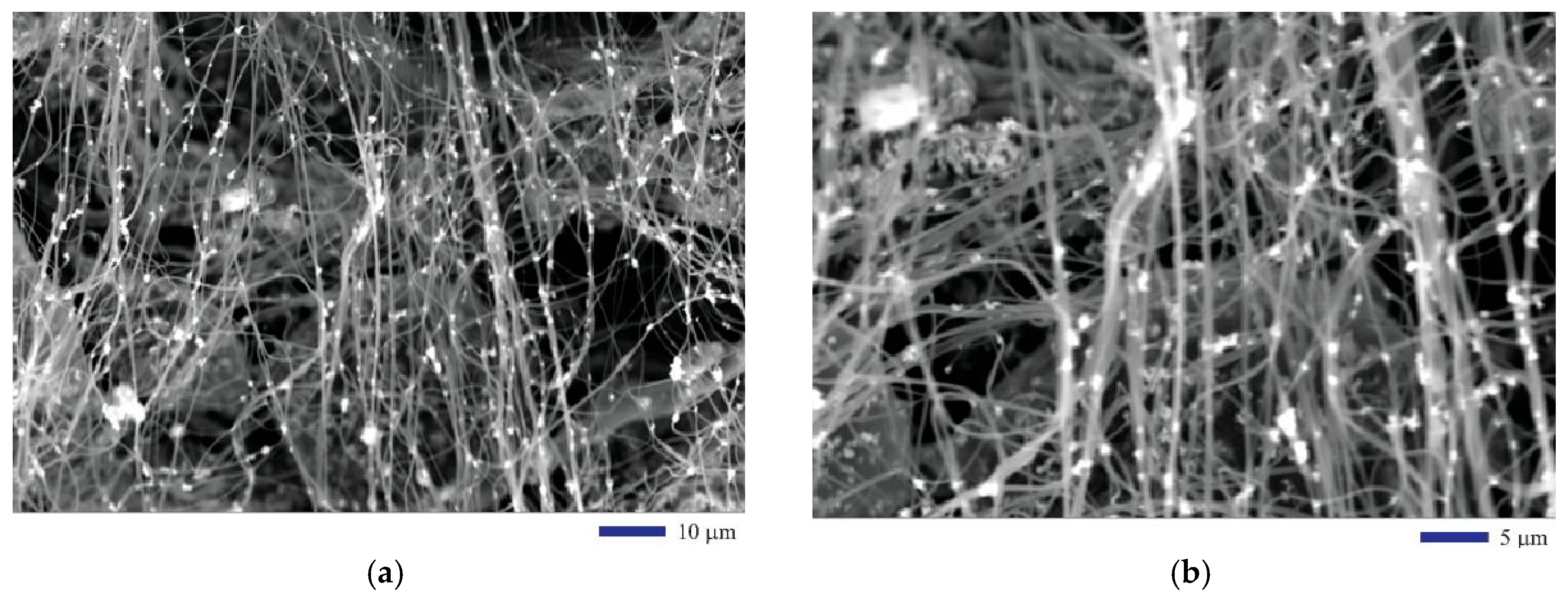 Fibers 07 00025 g002