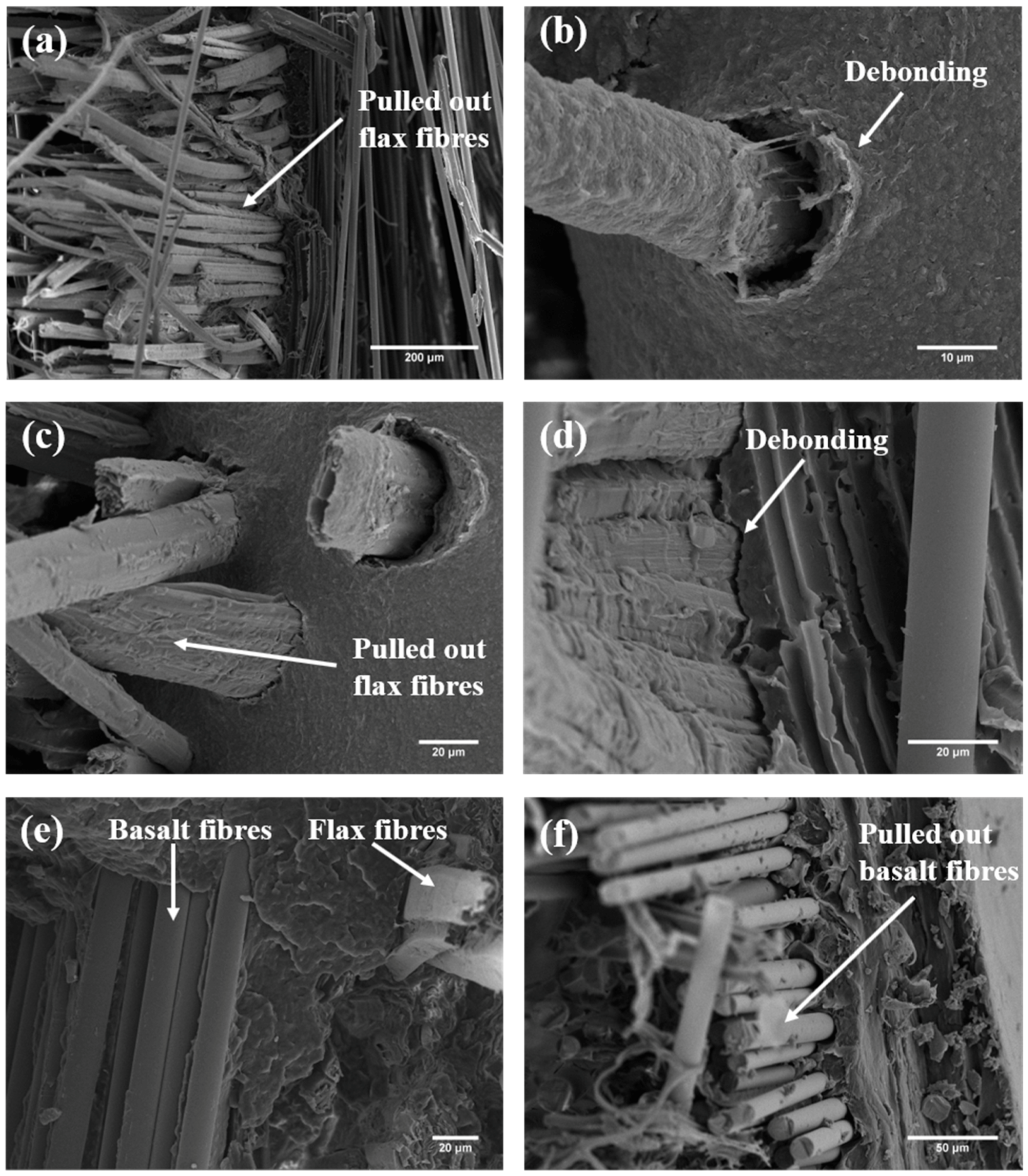 Fibers 07 00026 g004