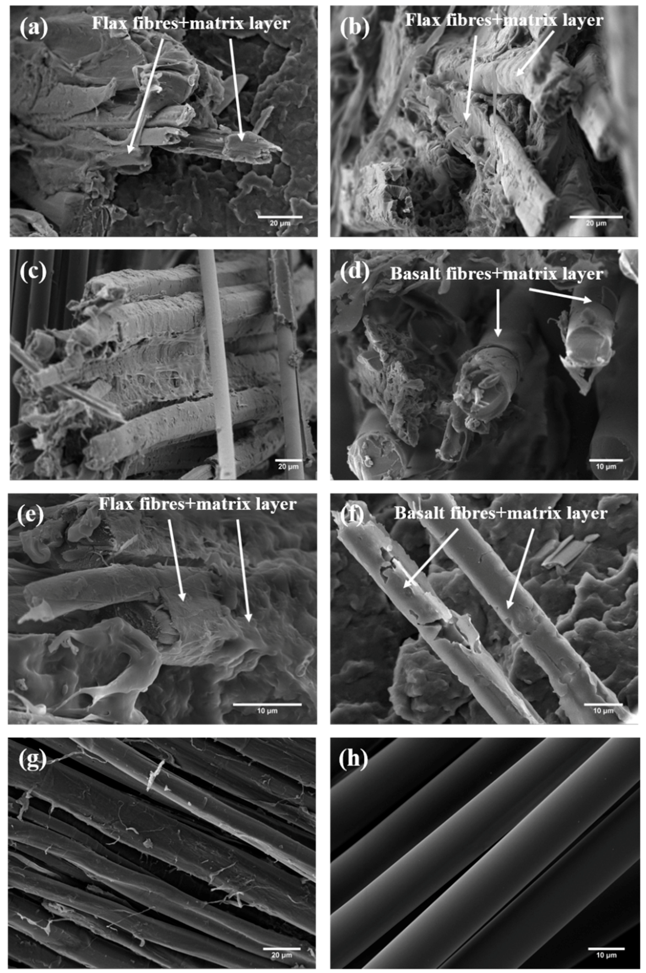 Fibers 07 00026 g005