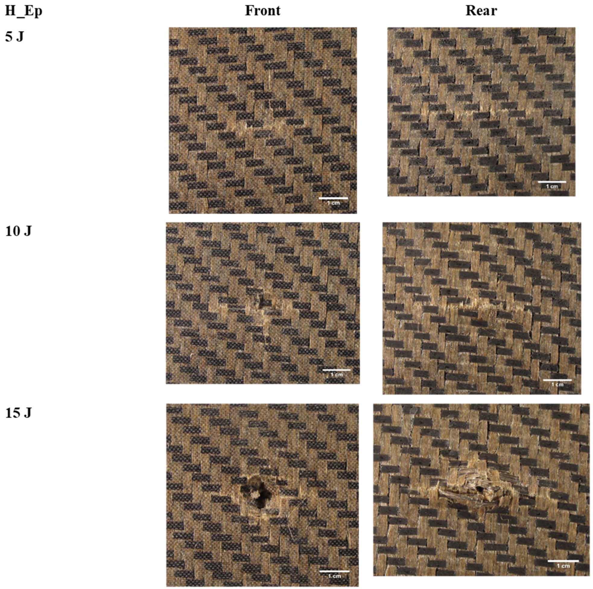Fibers 07 00026 g011