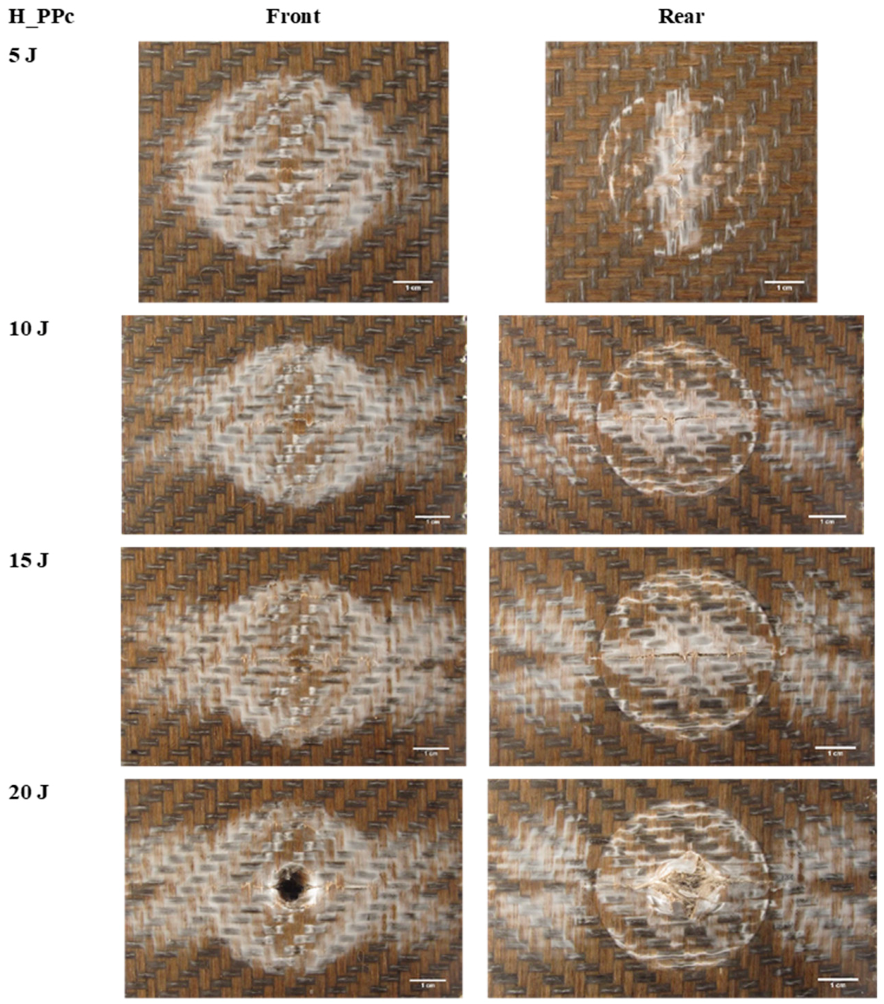 Fibers 07 00026 g013