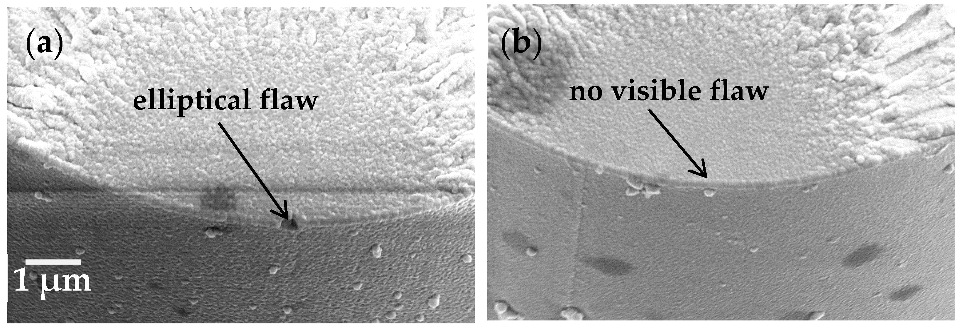 Fibers 07 00027 g005