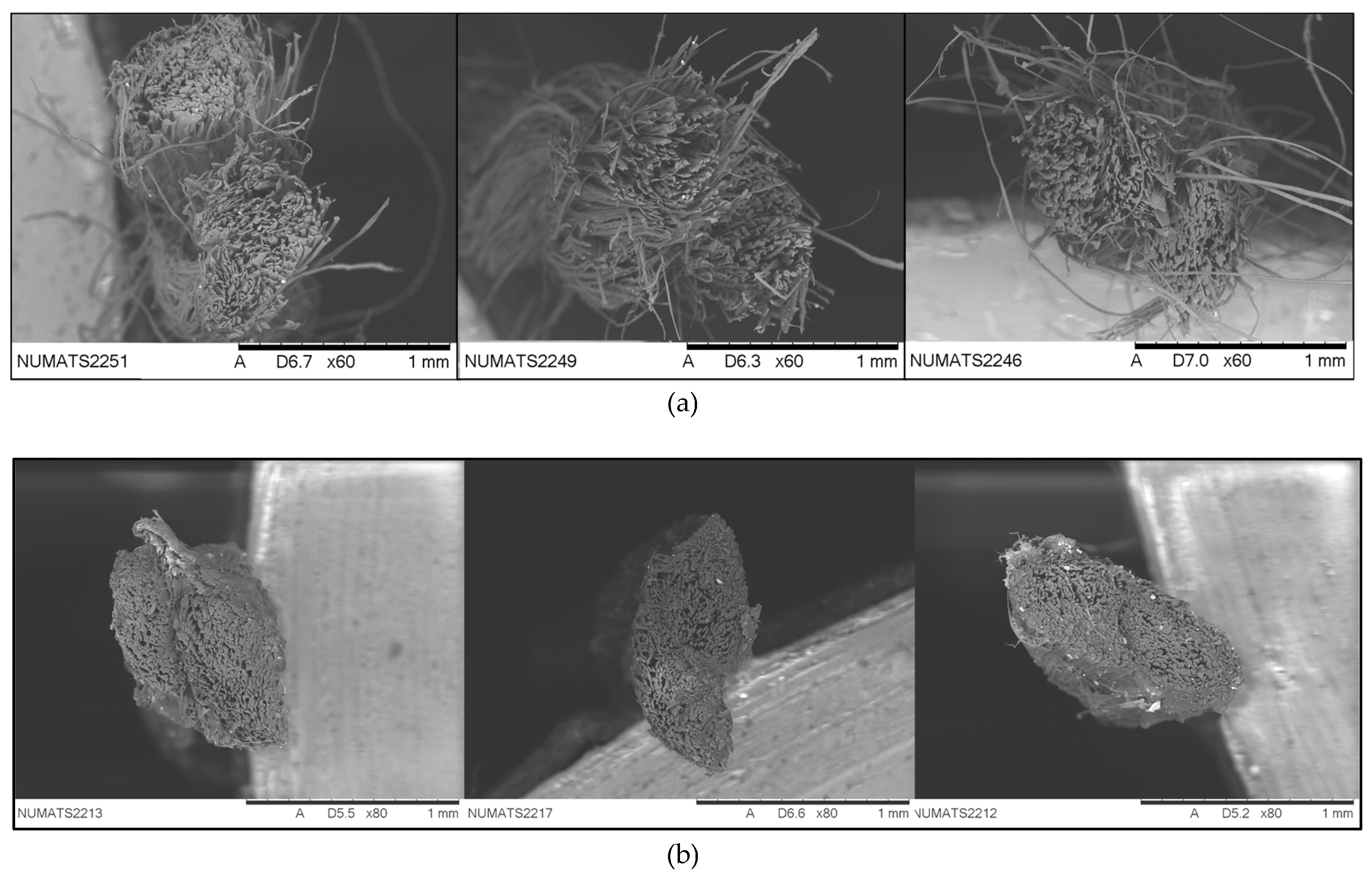 Fibers 07 00030 g006