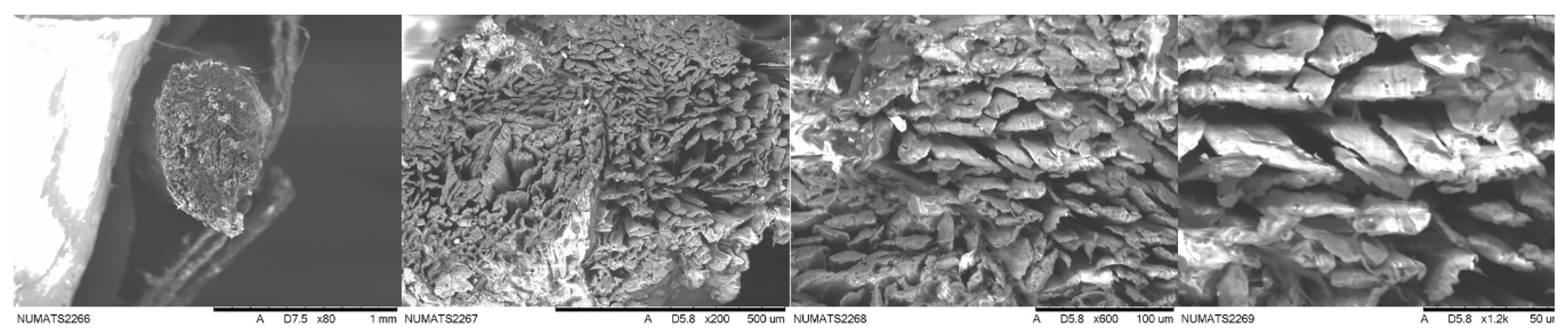 Fibers 07 00030 g007