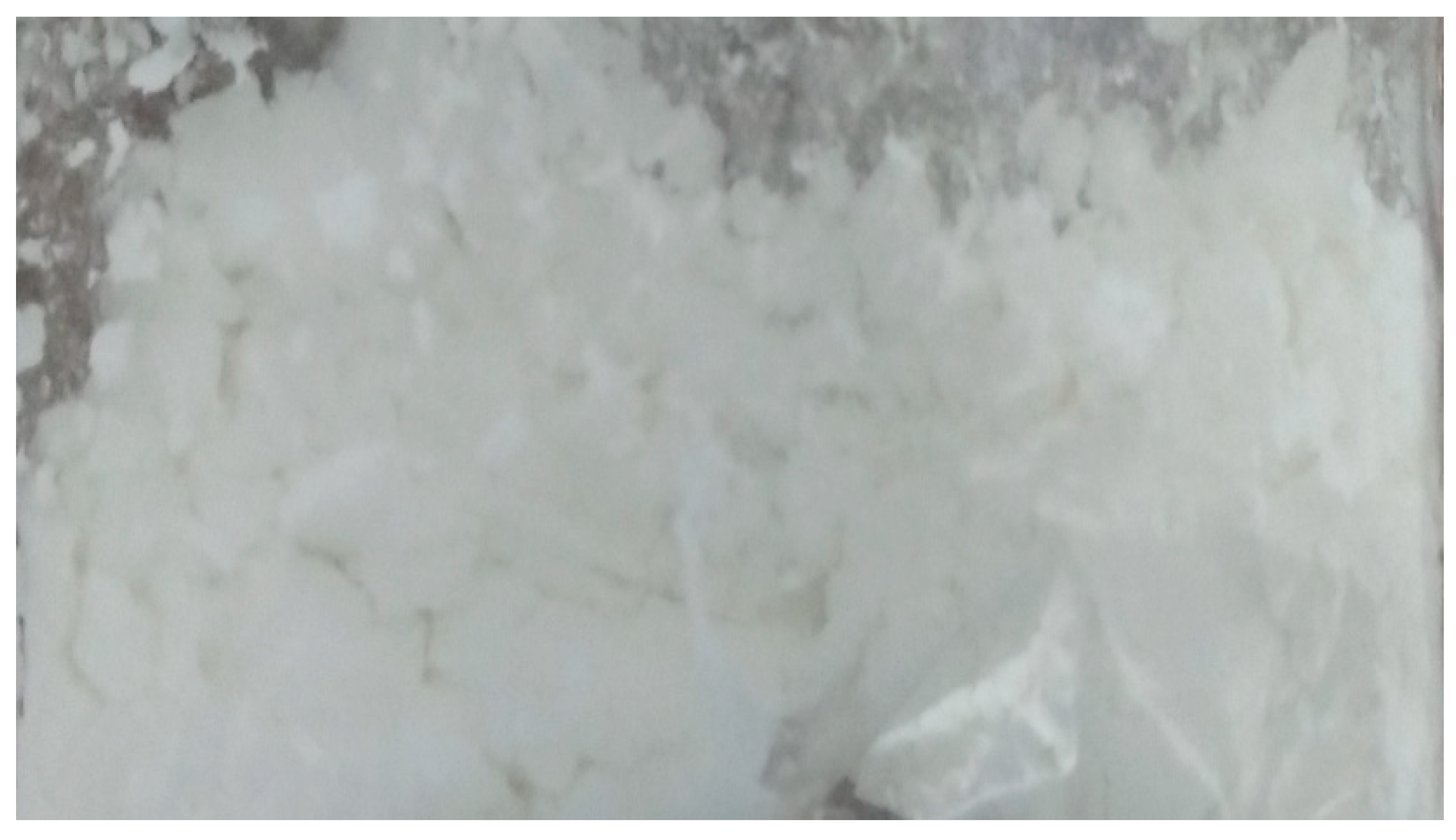 Fibers 07 00032 g001