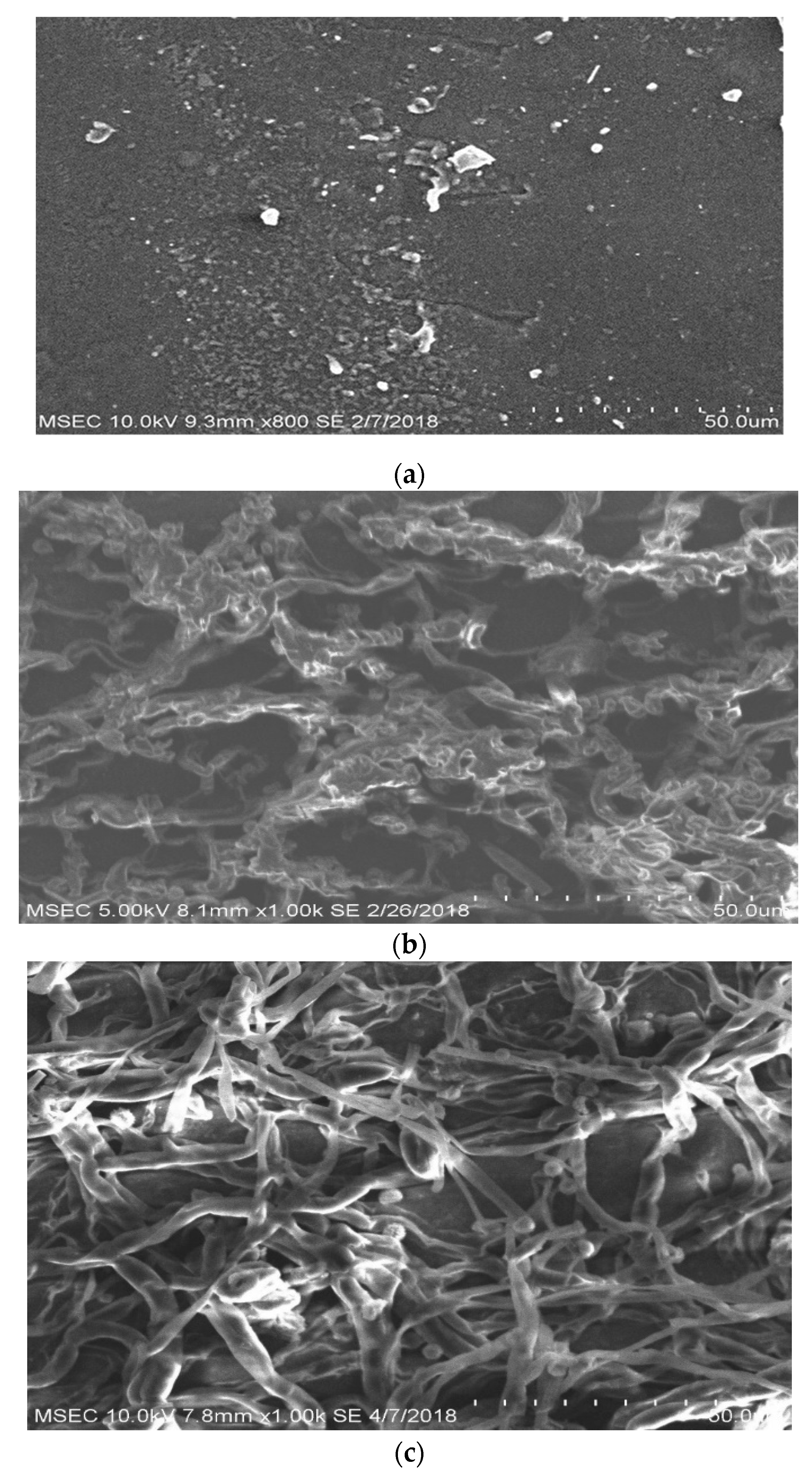 Fibers 07 00032 g003