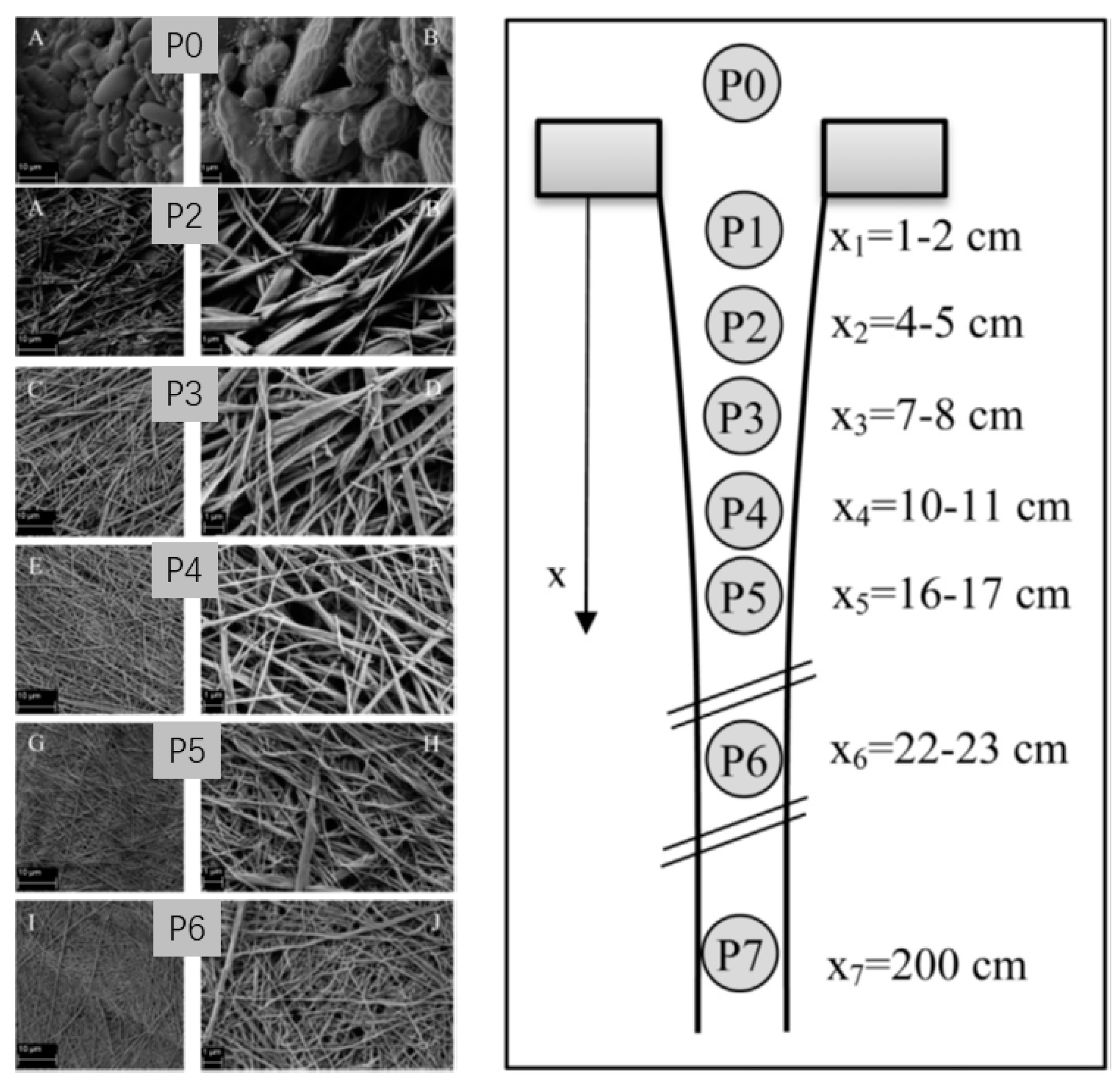 Fibers 07 00035 g003 Fibers 07 00035 g003