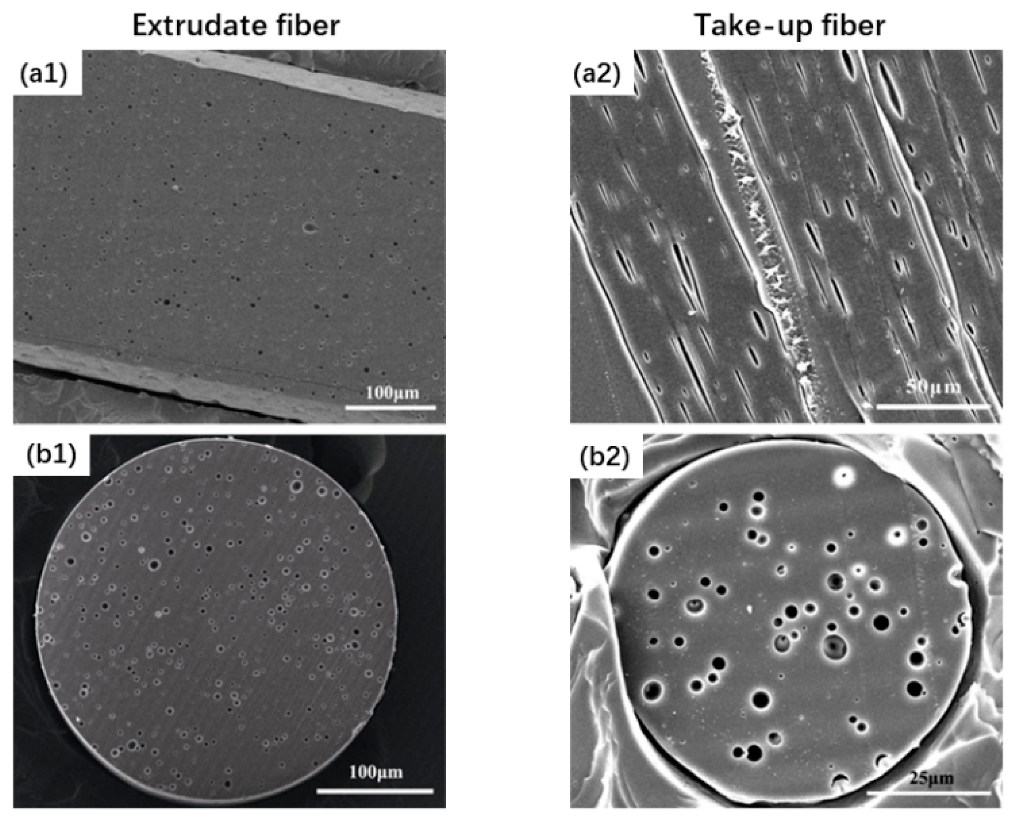 Fibers 07 00035 g004 Fibers 07 00035 g004