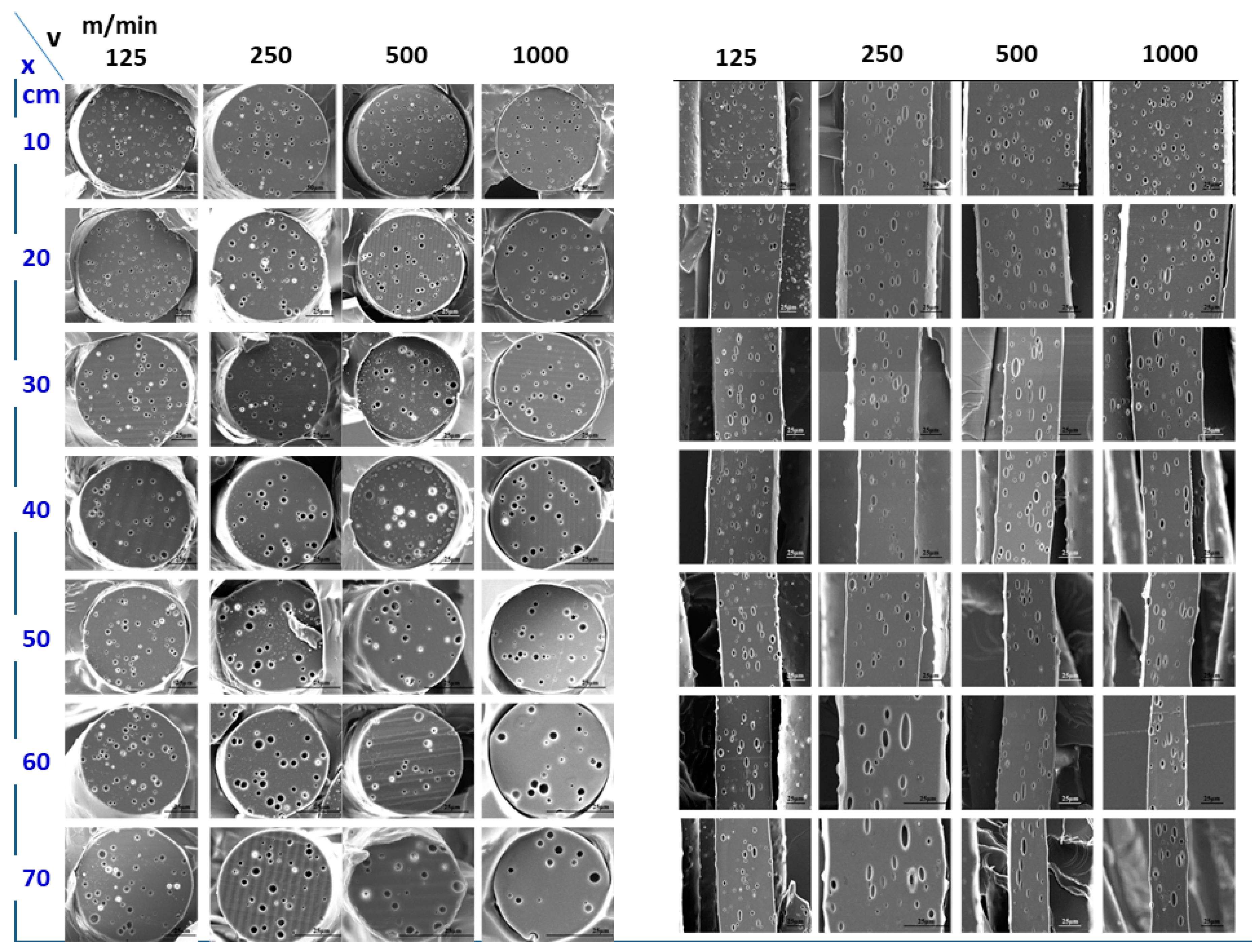 Fibers 07 00035 g005 Fibers 07 00035 g005
