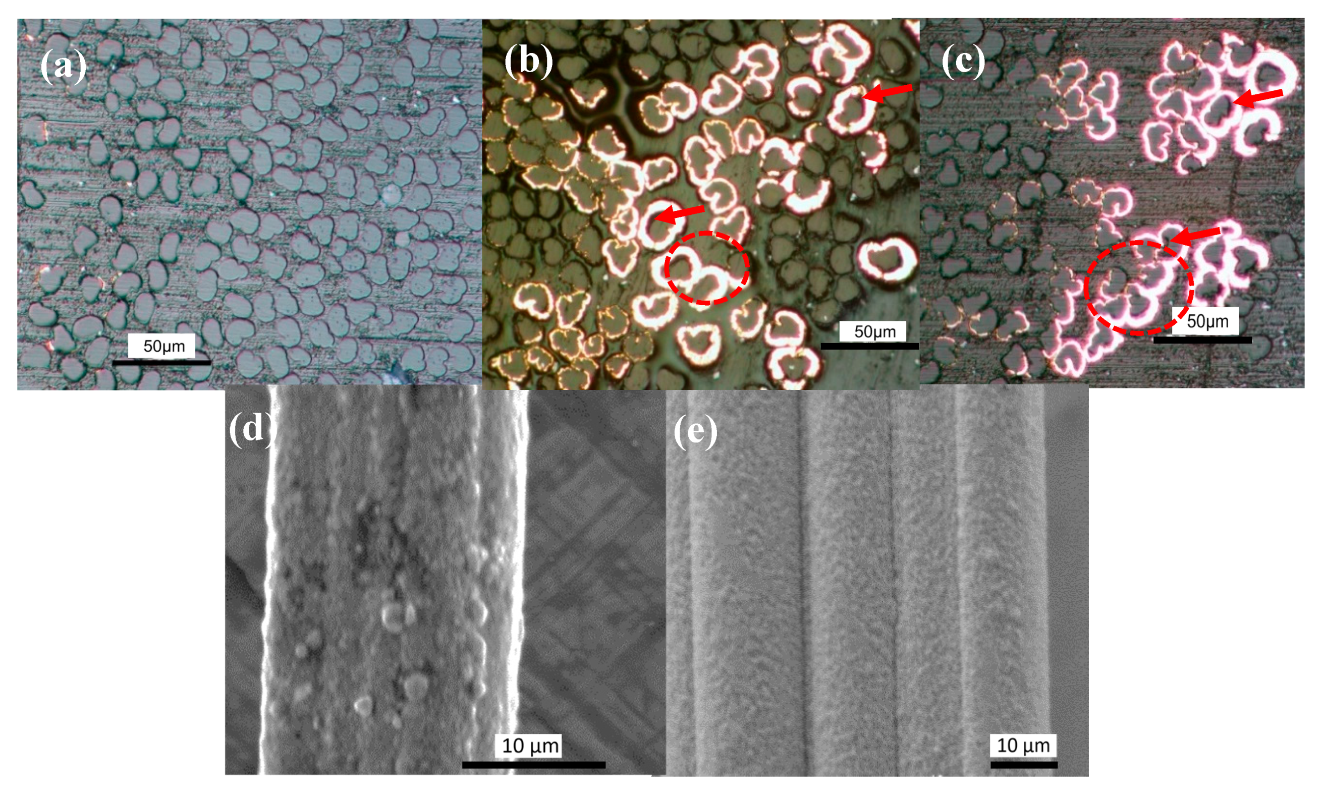Fibers 07 00038 g001
