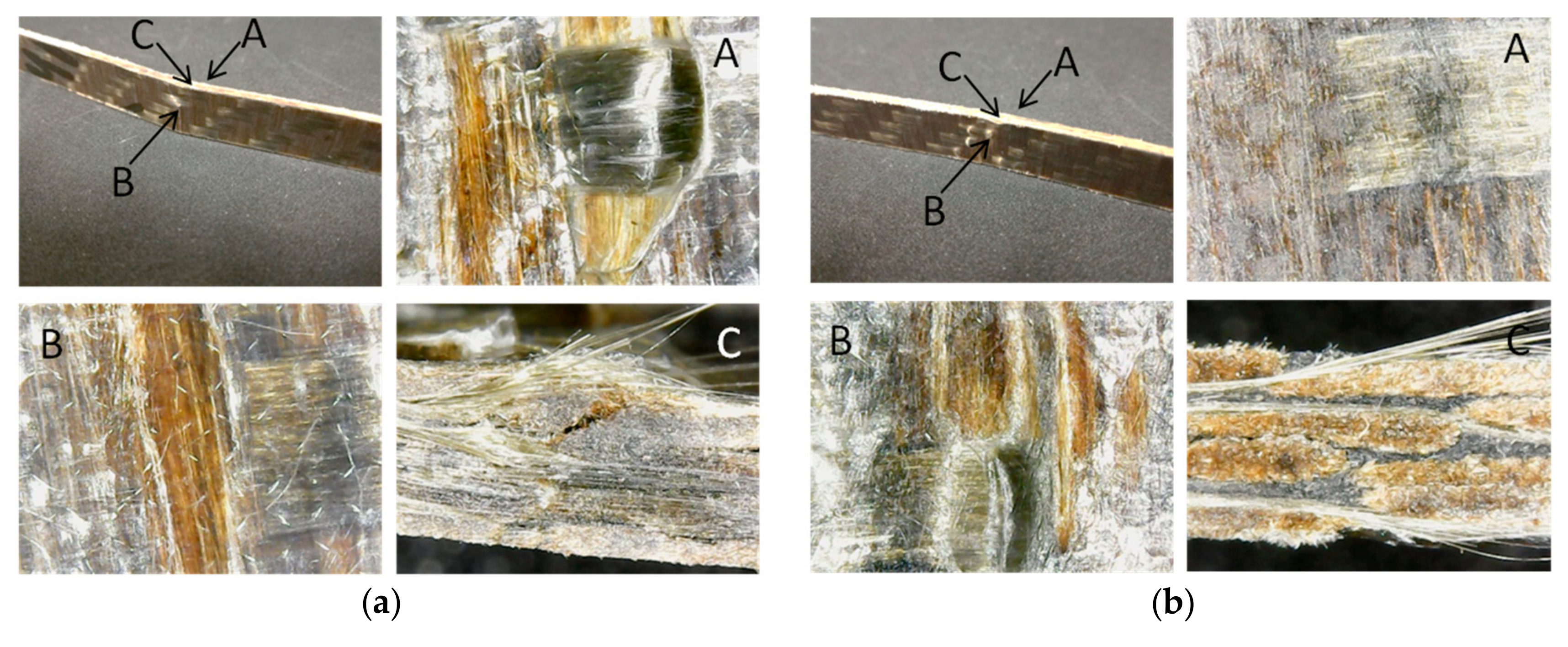 Fibers 07 00041 g008