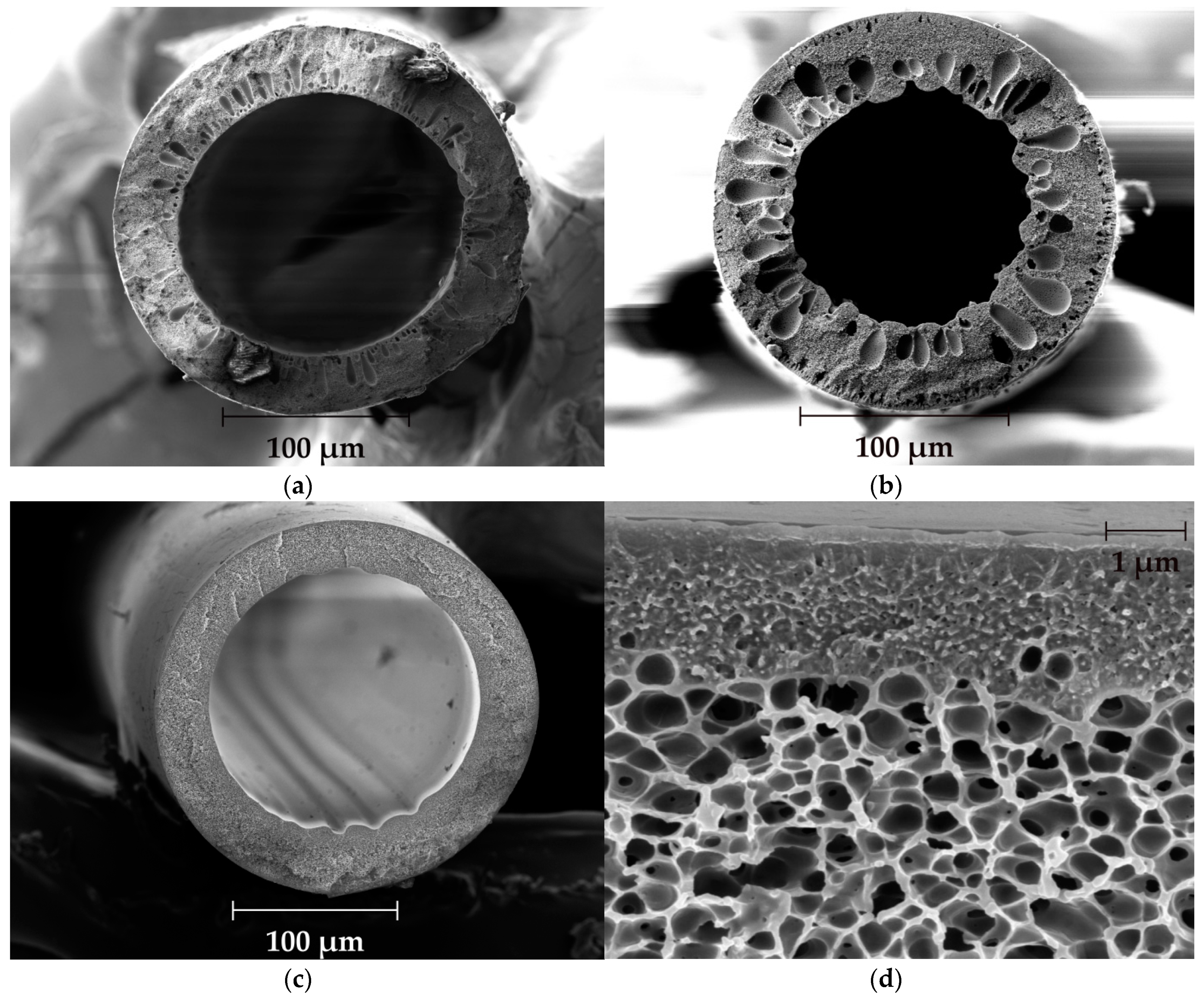 Fibers 07 00043 g004