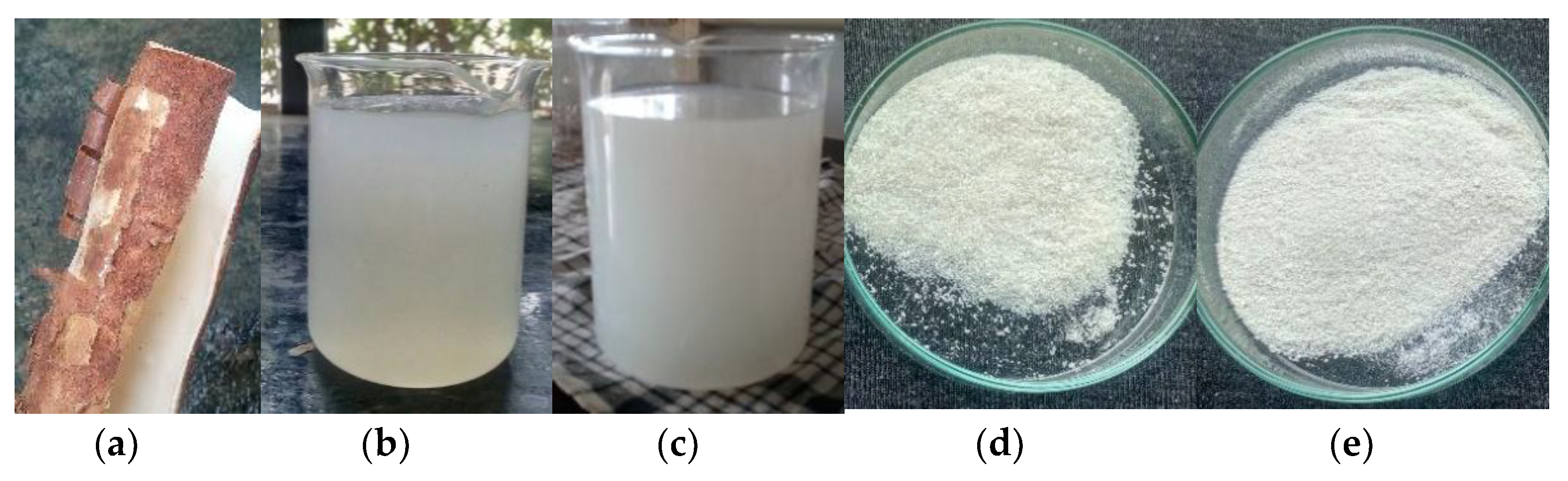 Fibers 07 00044 g001