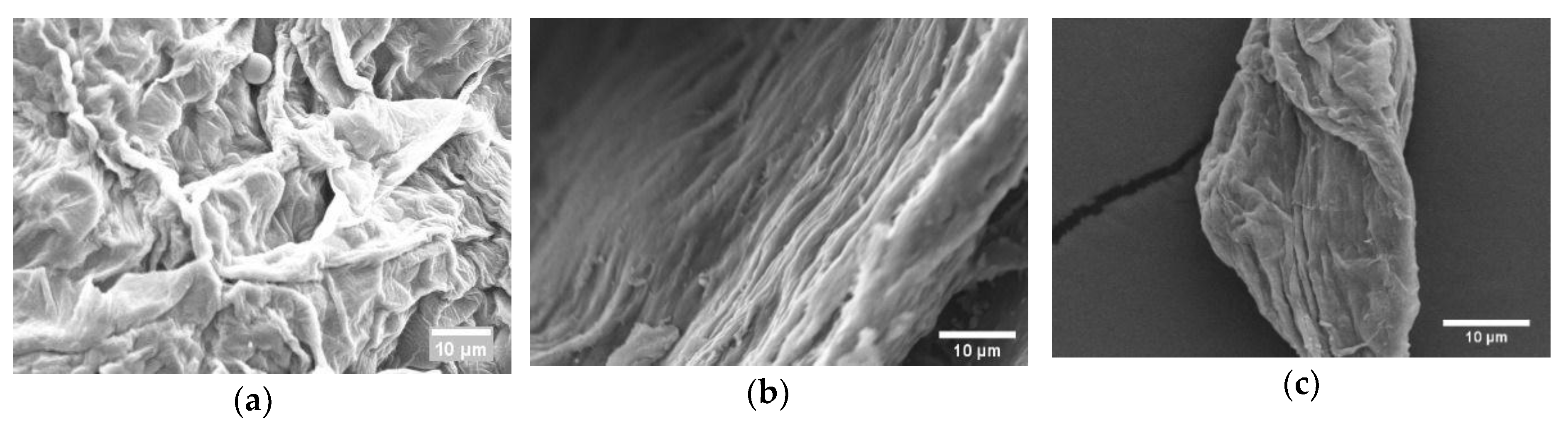 Fibers 07 00044 g006