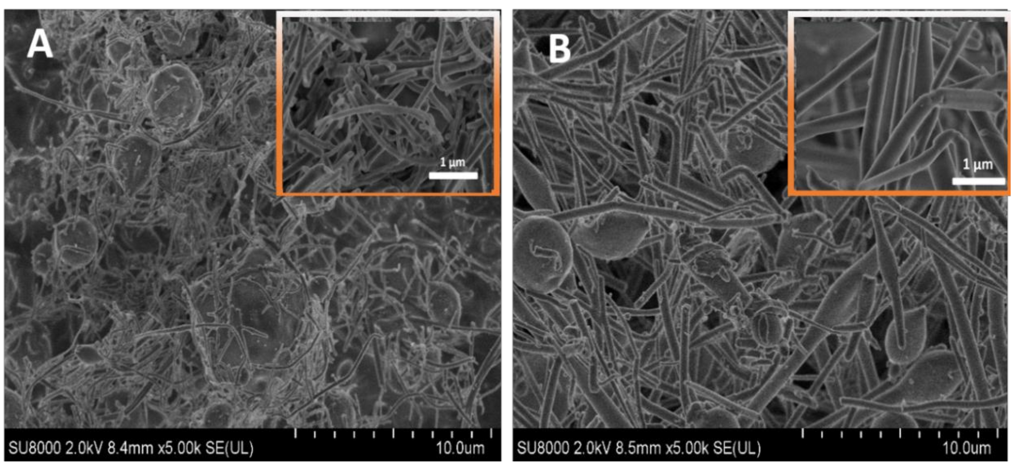 Fibers 07 00048 g001