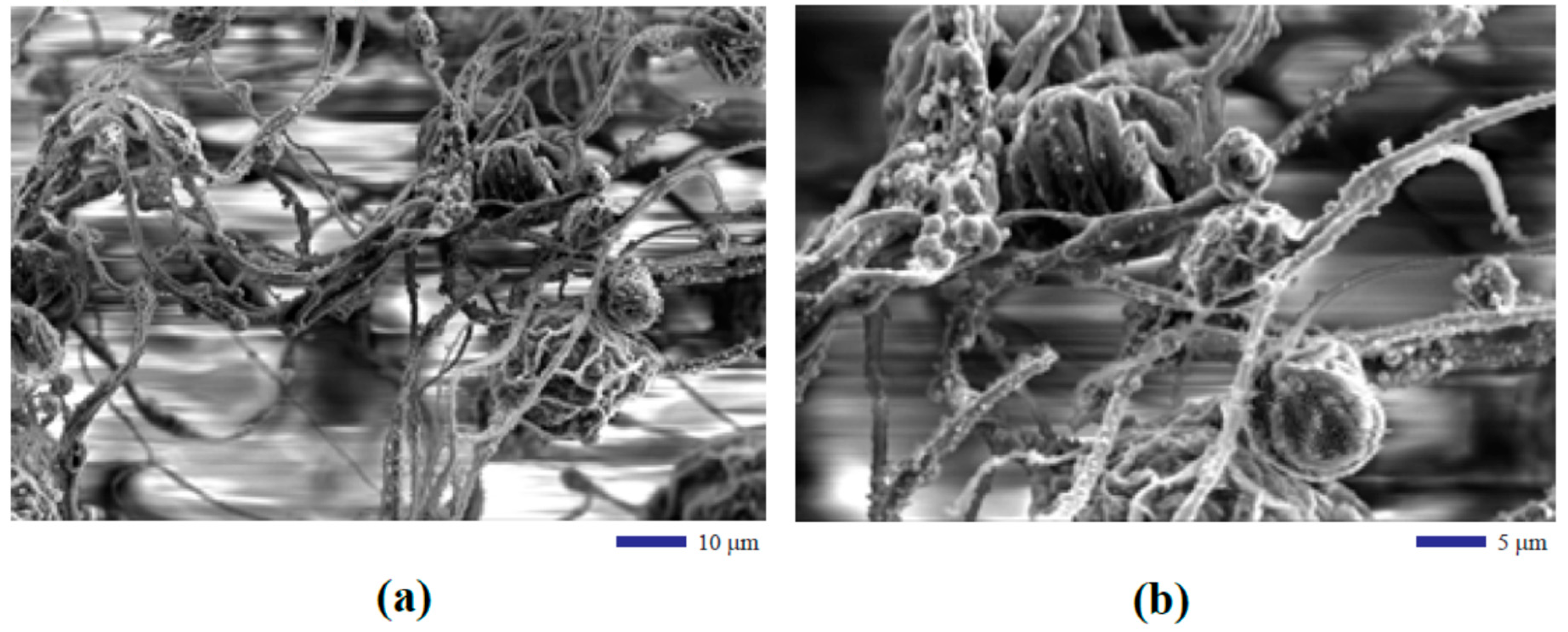 Fibers 07 00049 g003