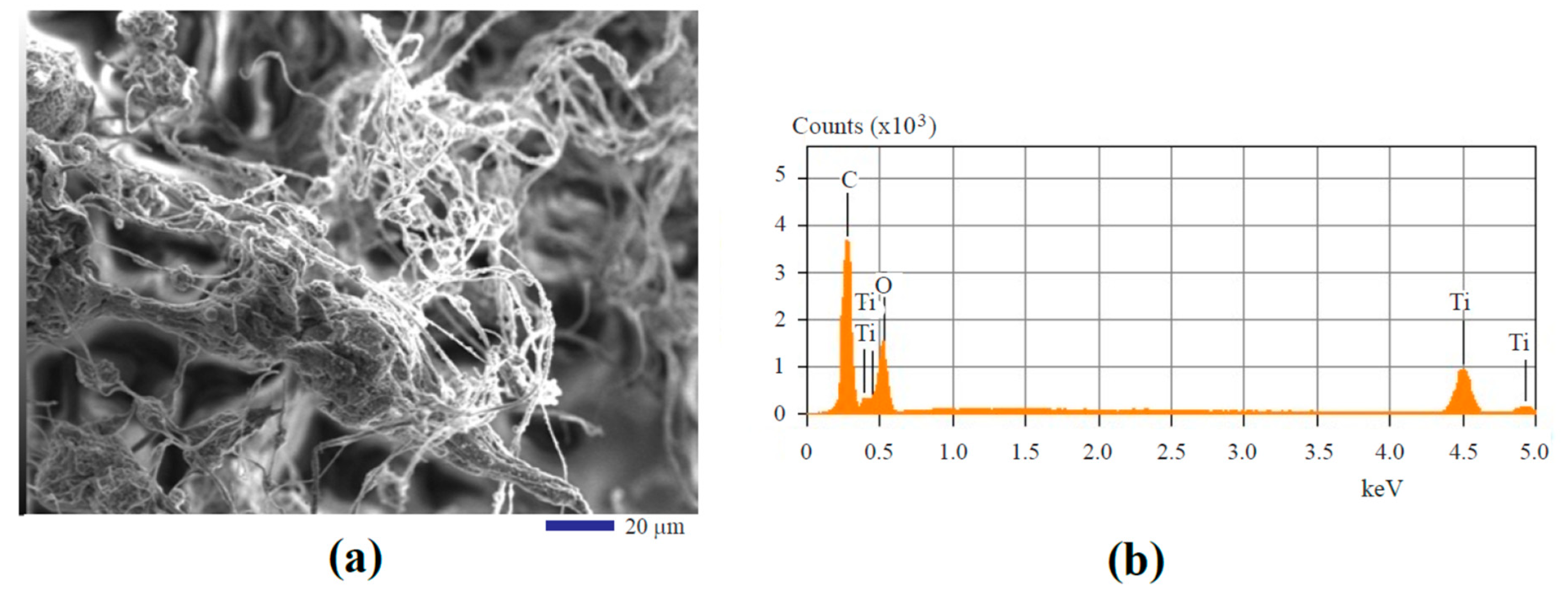 Fibers 07 00049 g004