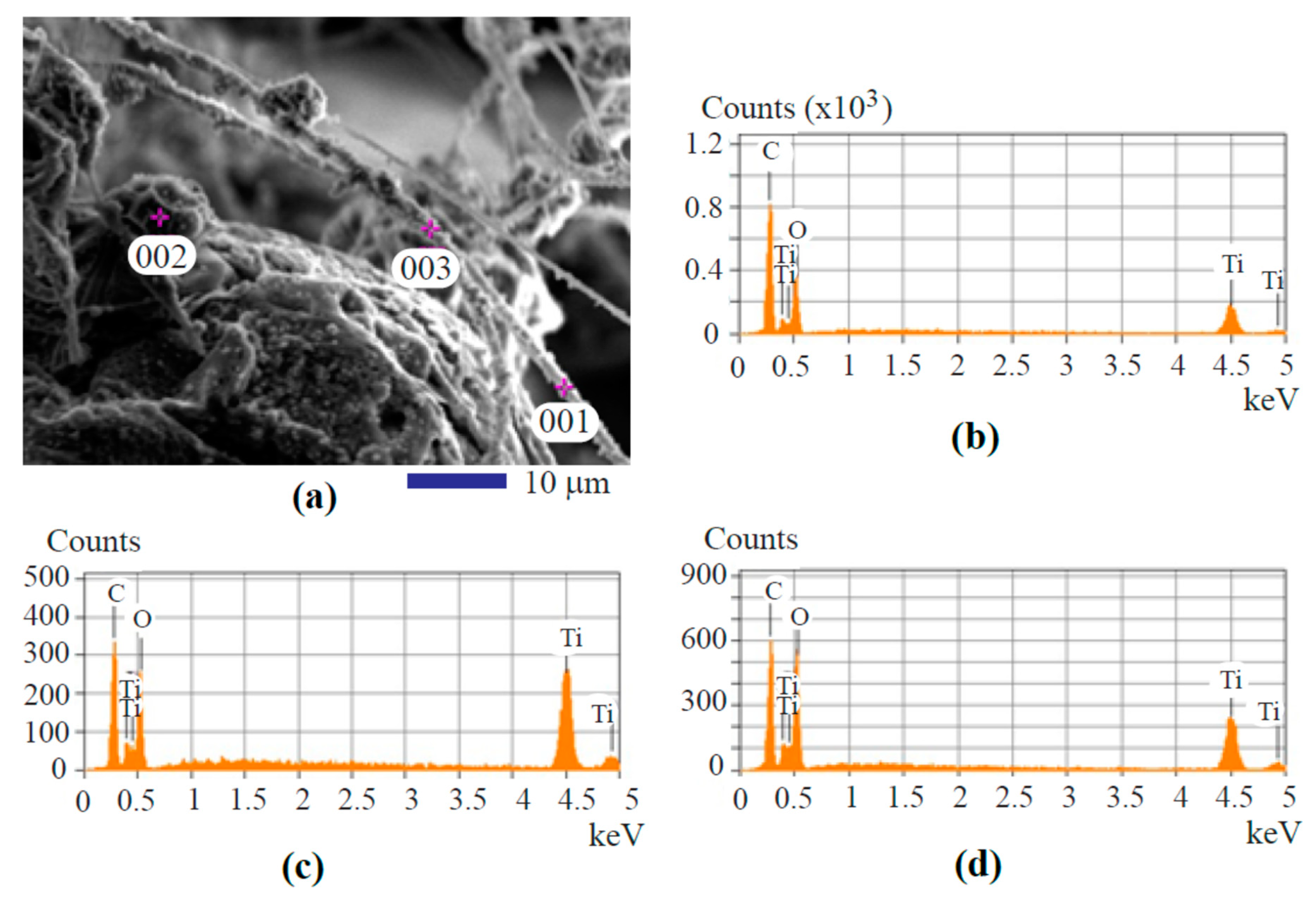 Fibers 07 00049 g005