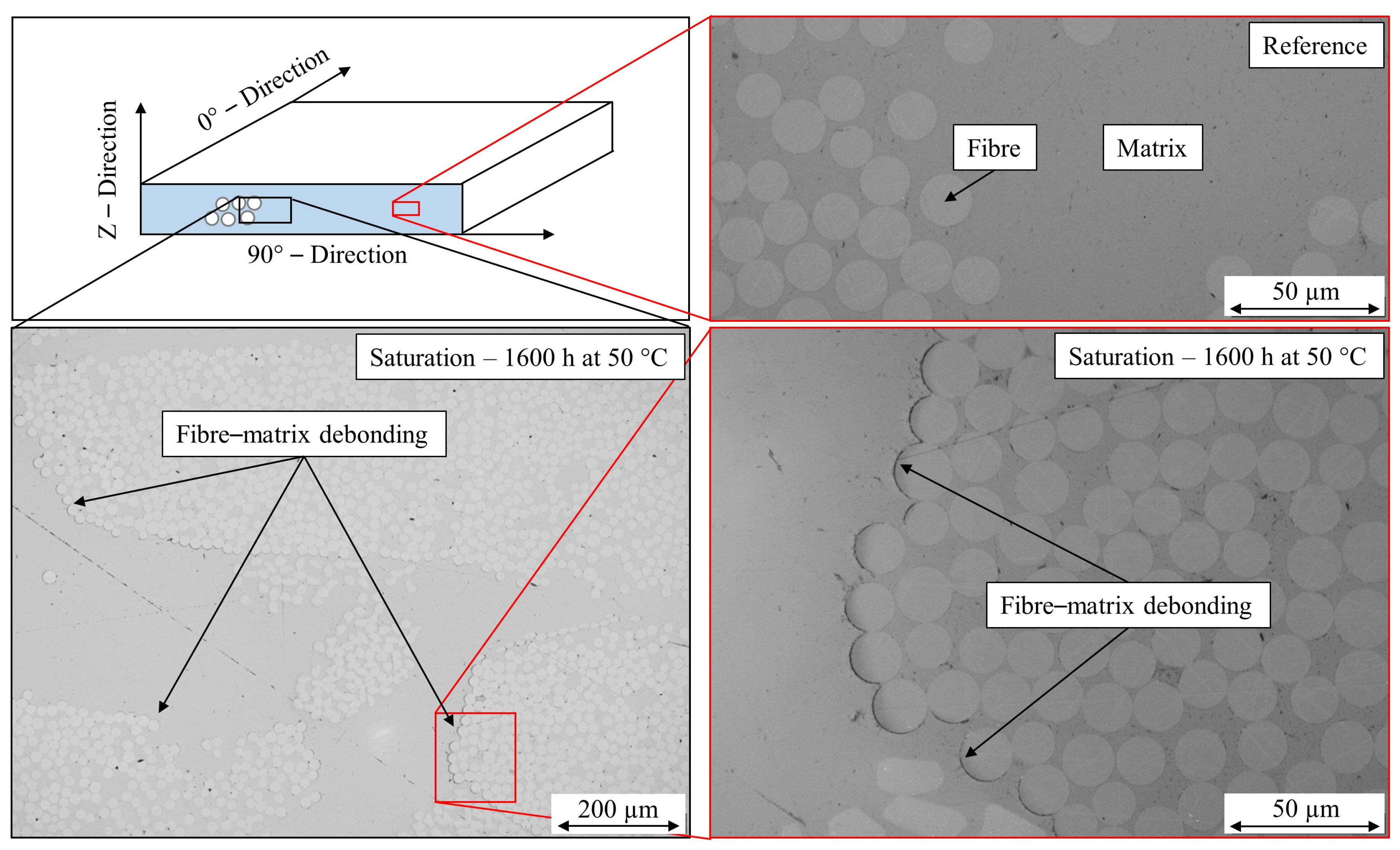 Fibers 07 00055 g013