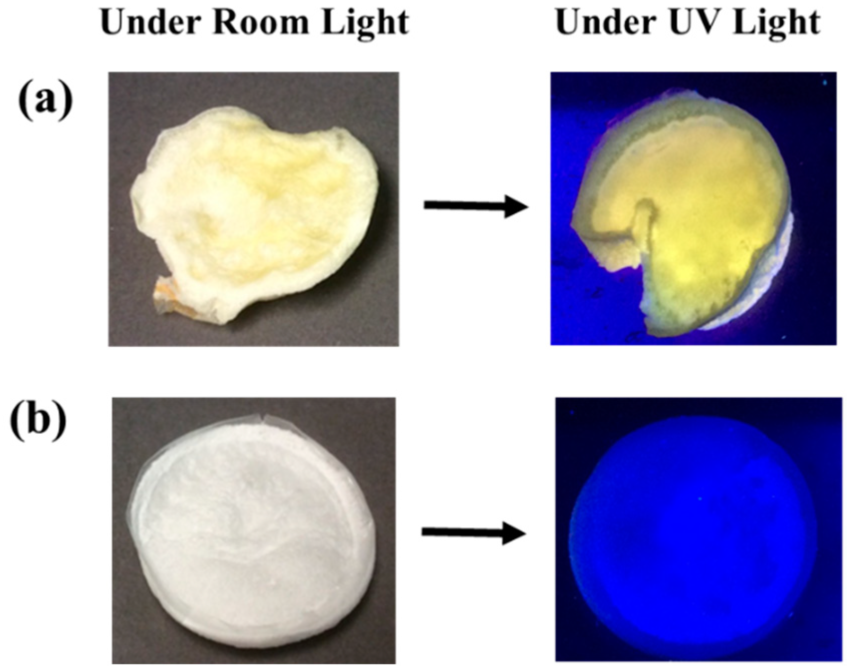 Fibers 07 00057 g001